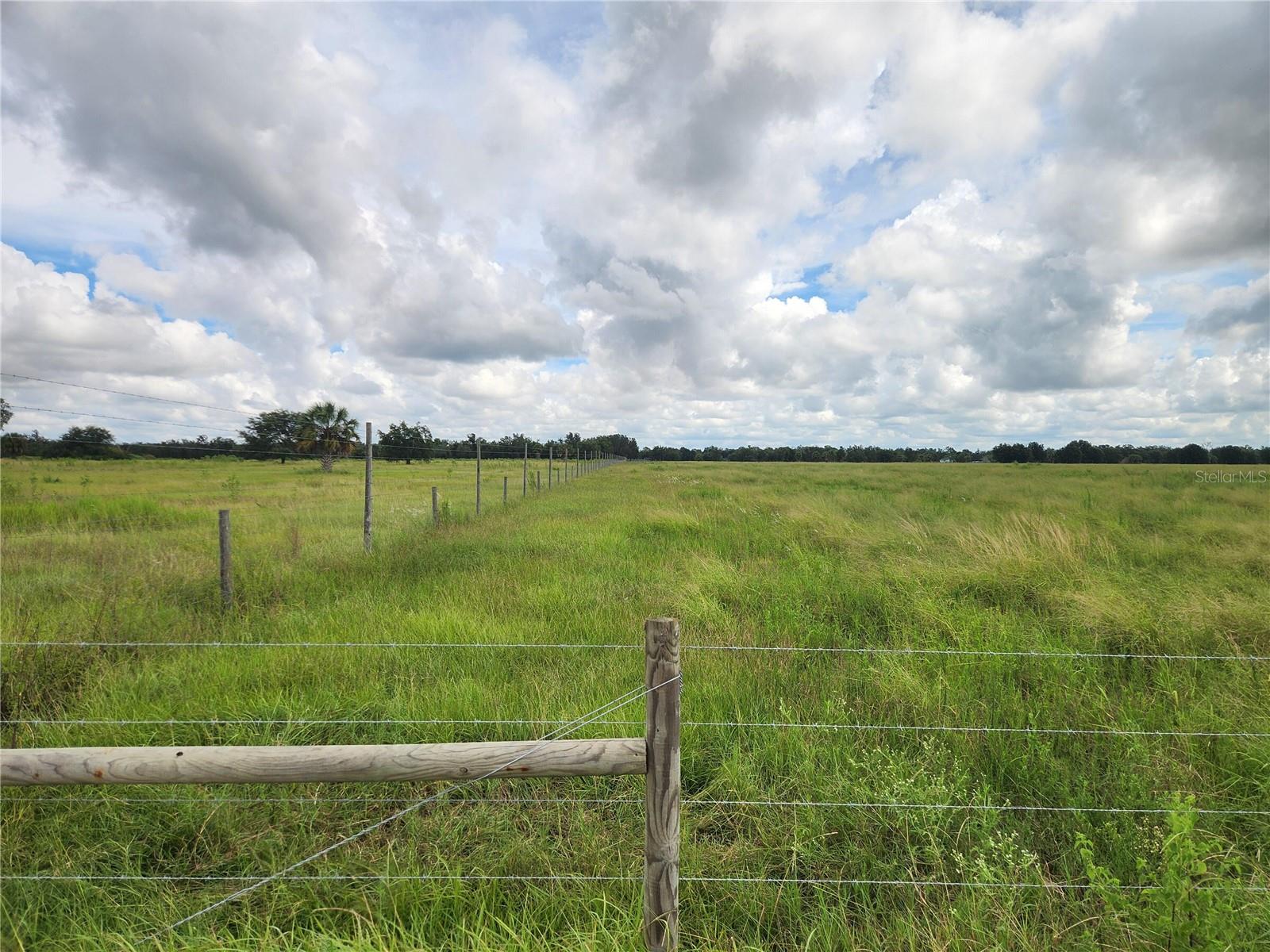 Image 5 of 6 For  Gough Road 