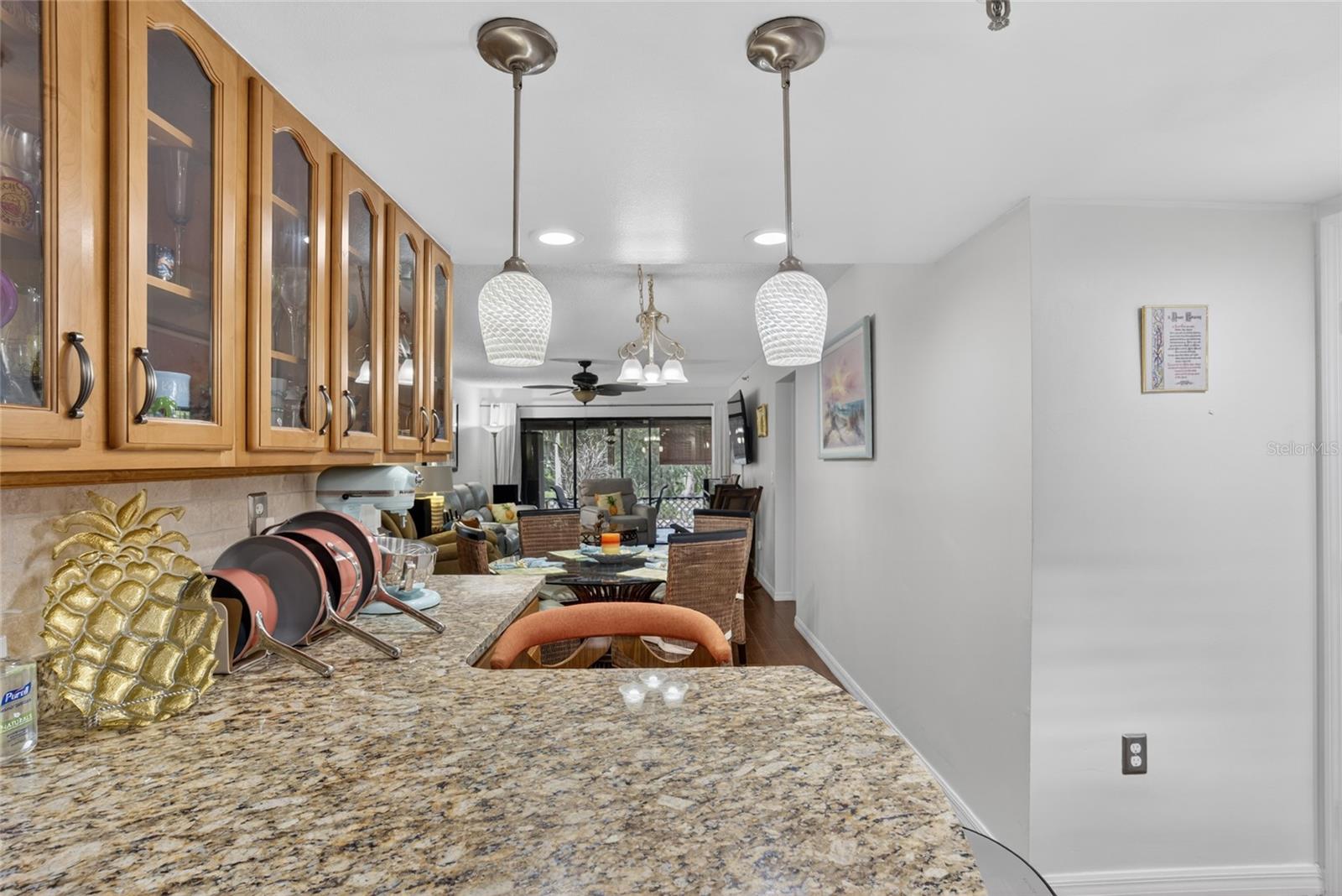 Image 33 of 50 For 1166 Carmel Circle 100
