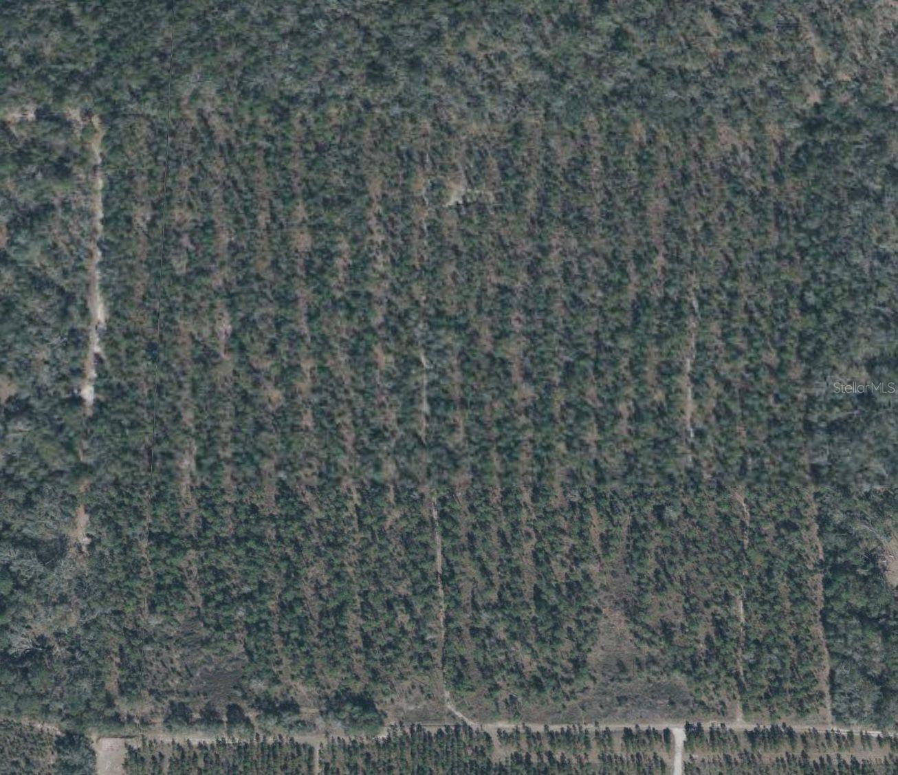 Details for 64th Place , LIVE OAK, FL 32060