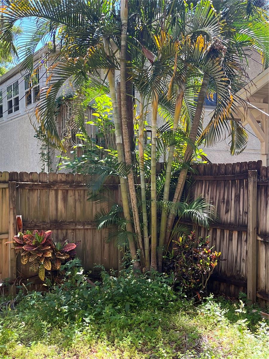 Image 13 of 14 For 520 Amelia Street
