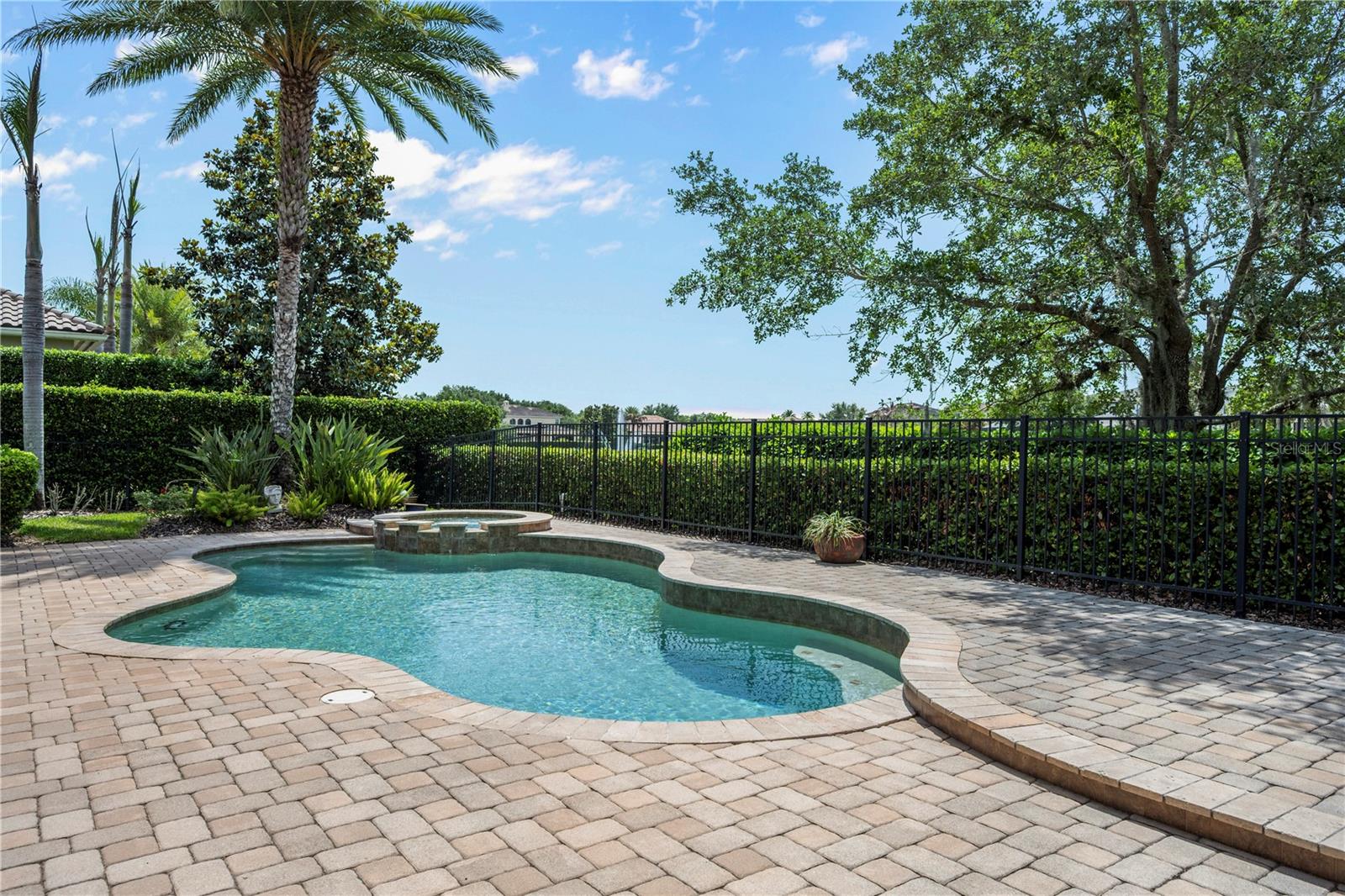 Image 41 of 52 For 11753 Vinci Drive