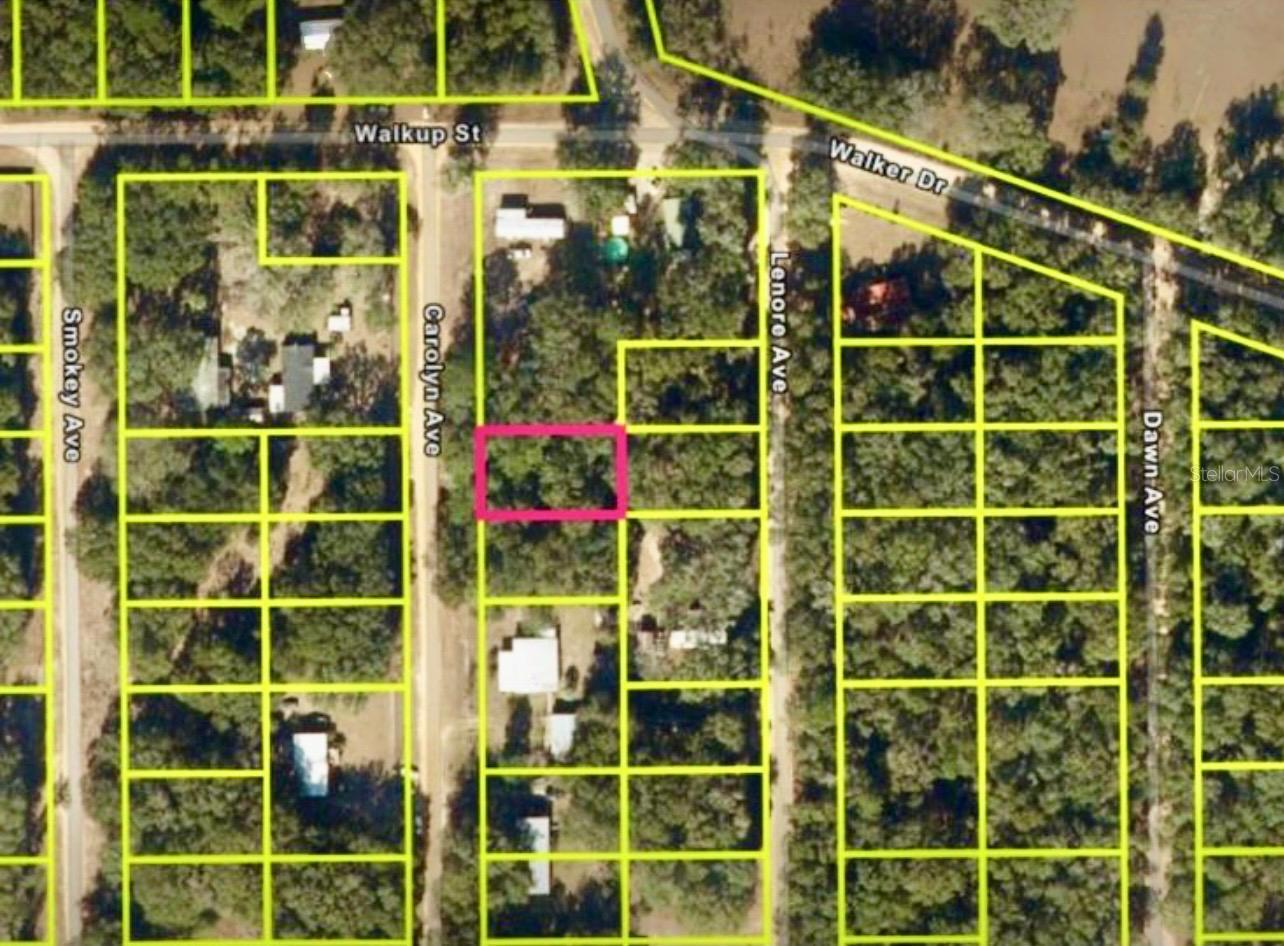 Listing Details for Carolyn Avenue, INTERLACHEN, FL 32148