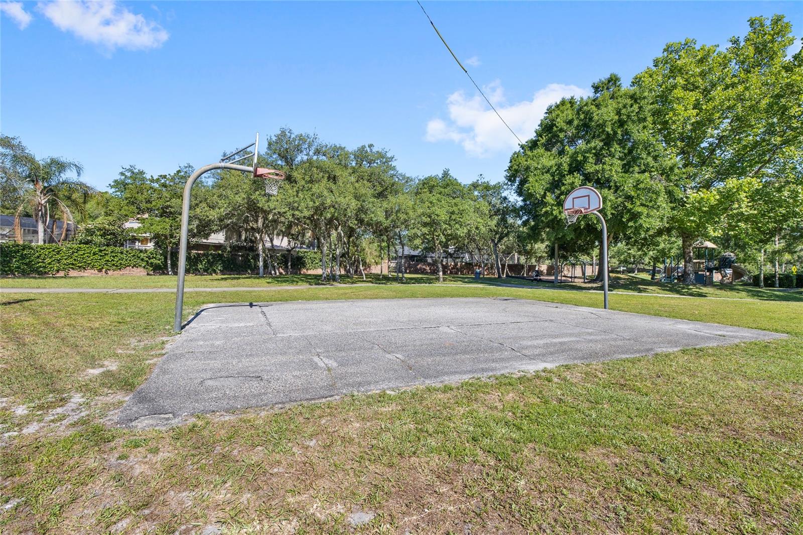Image 46 of 48 For 413 Willowbrook Lane