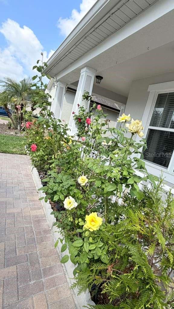 Image 48 of 58 For 5233 Dove Tree Street