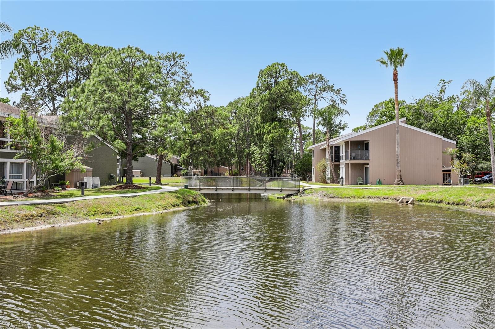 Image 27 of 43 For 5950 Peregrine Avenue 22f