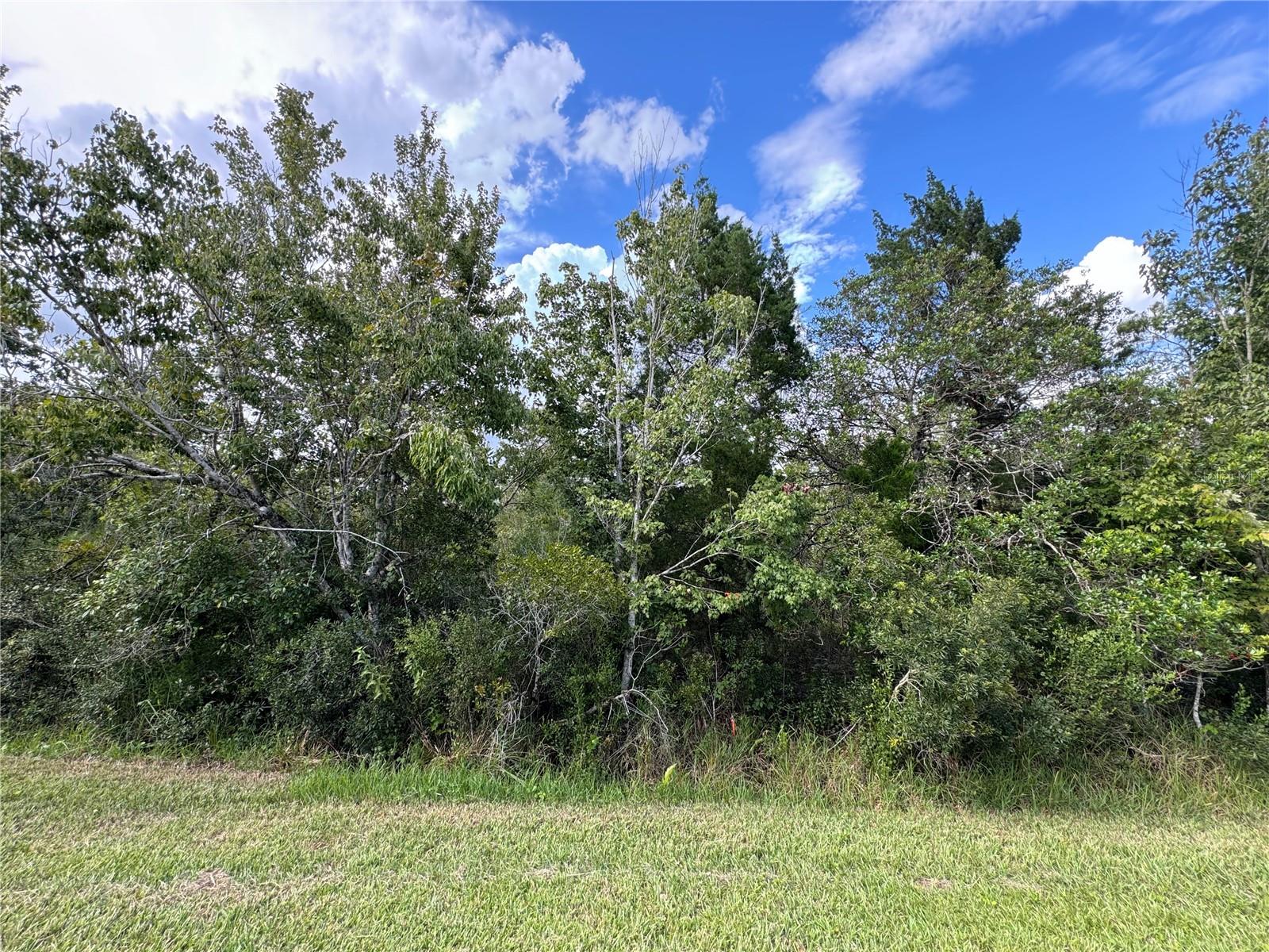 Details for Sheldon Street, ORLANDO, FL 32833
