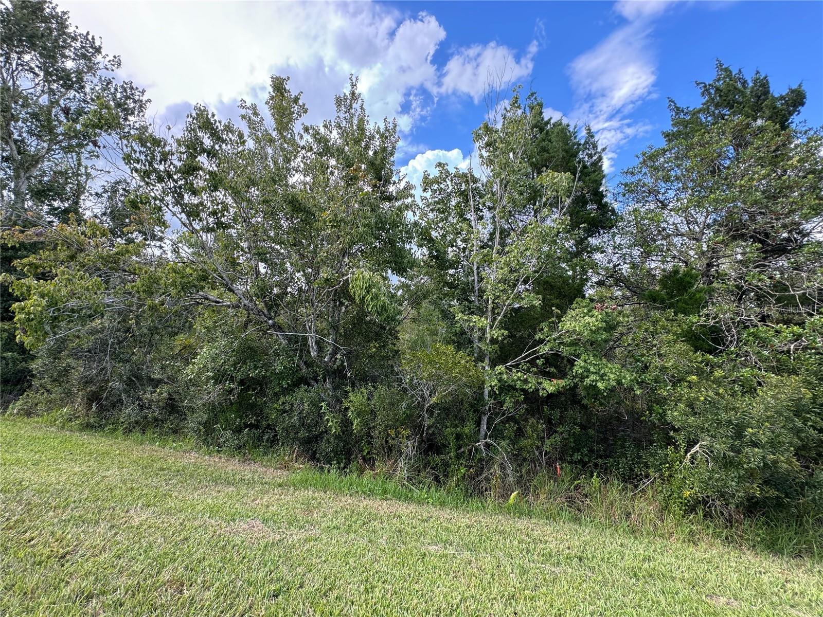 Image 7 of 9 For Sheldon Street