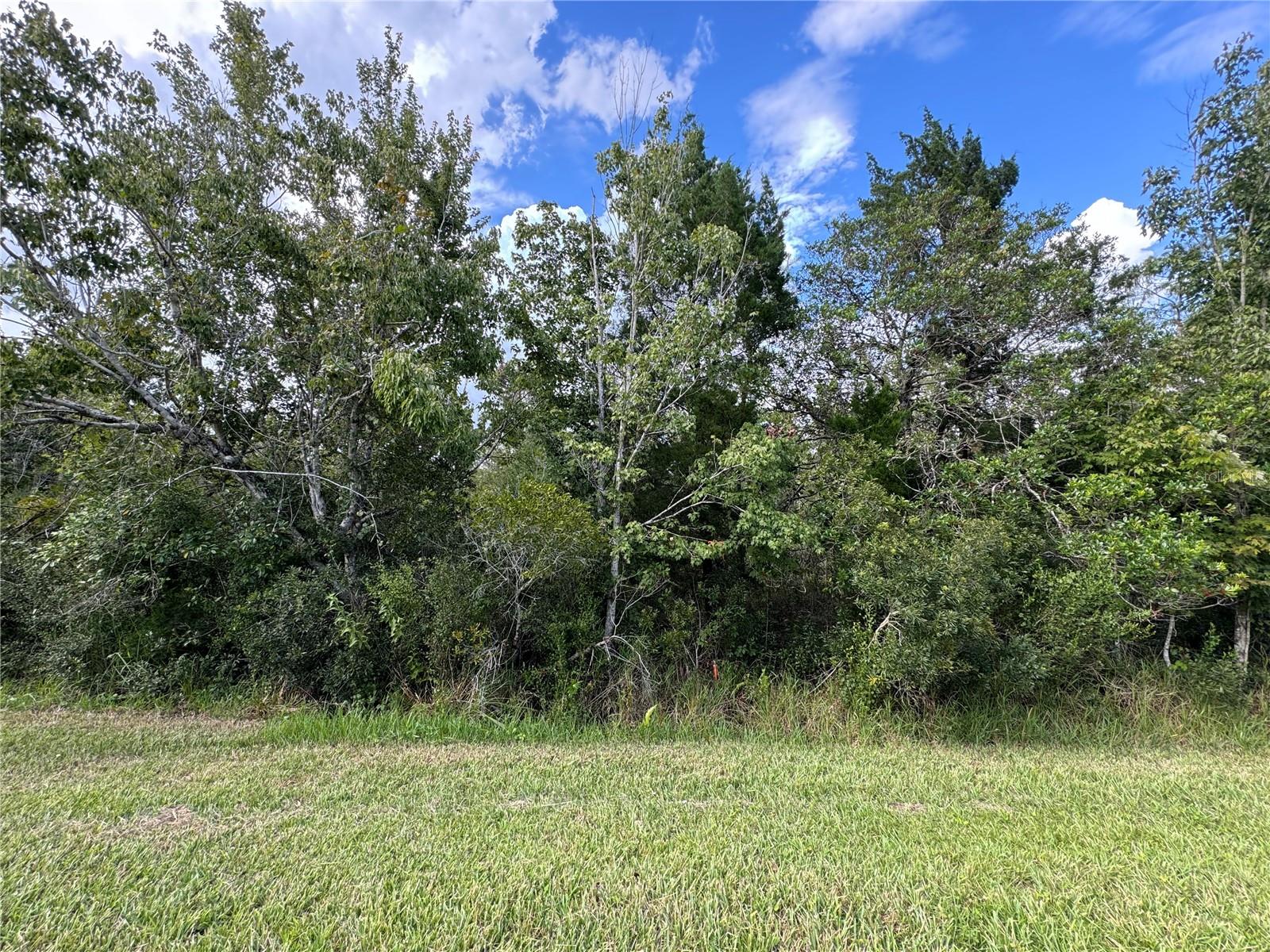 Image 8 of 9 For Sheldon Street