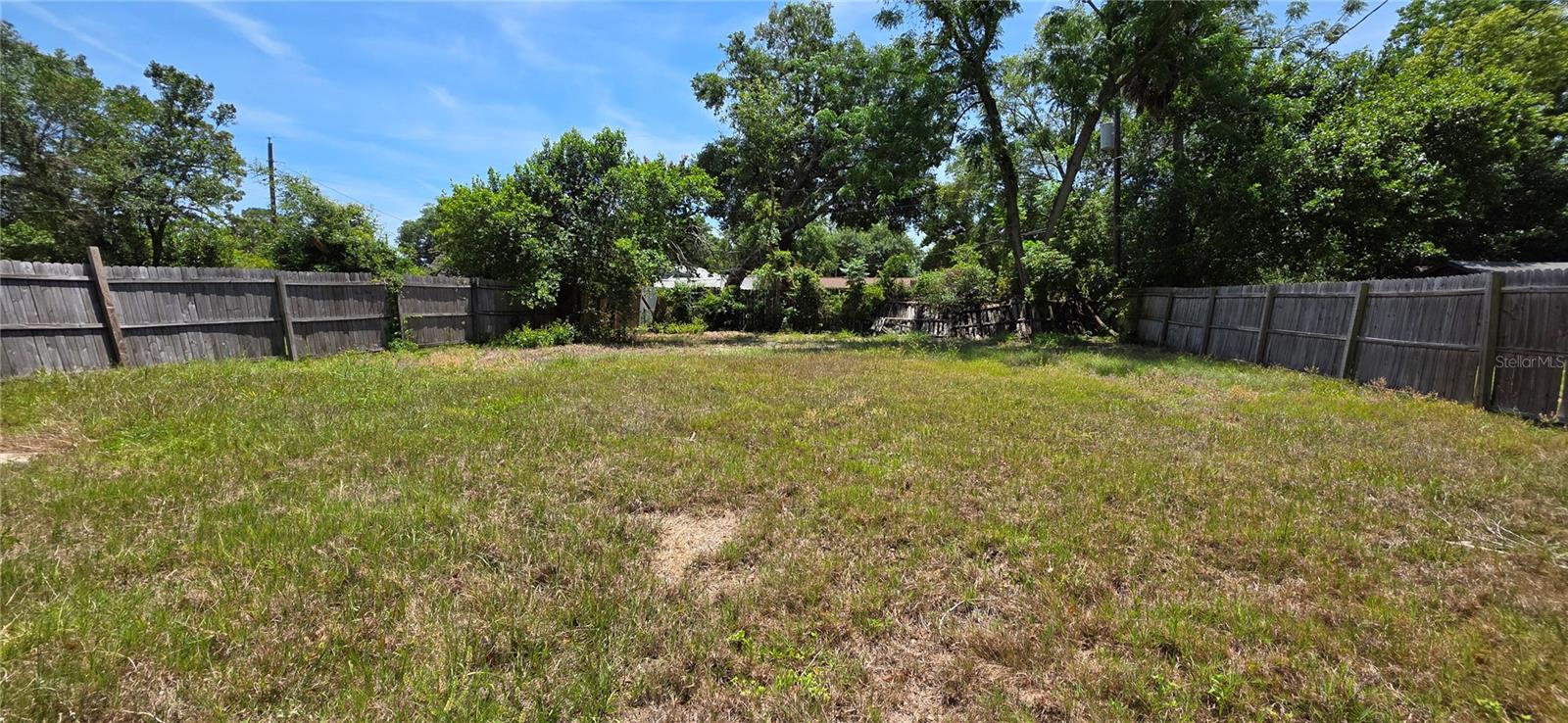 Image 11 of 17 For 260 Pine Tree Drive