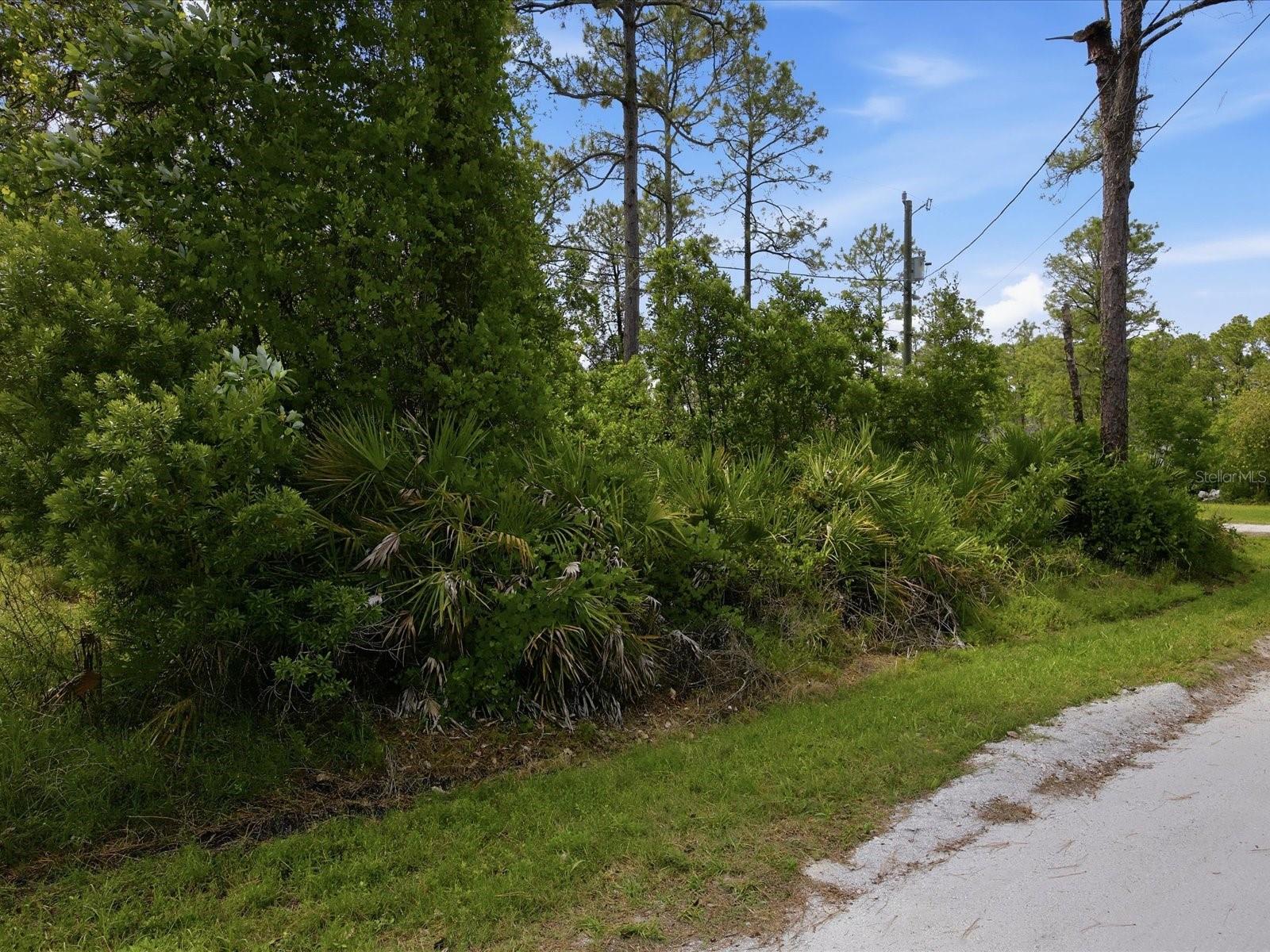 Image 6 of 6 For 1340 East Parkway