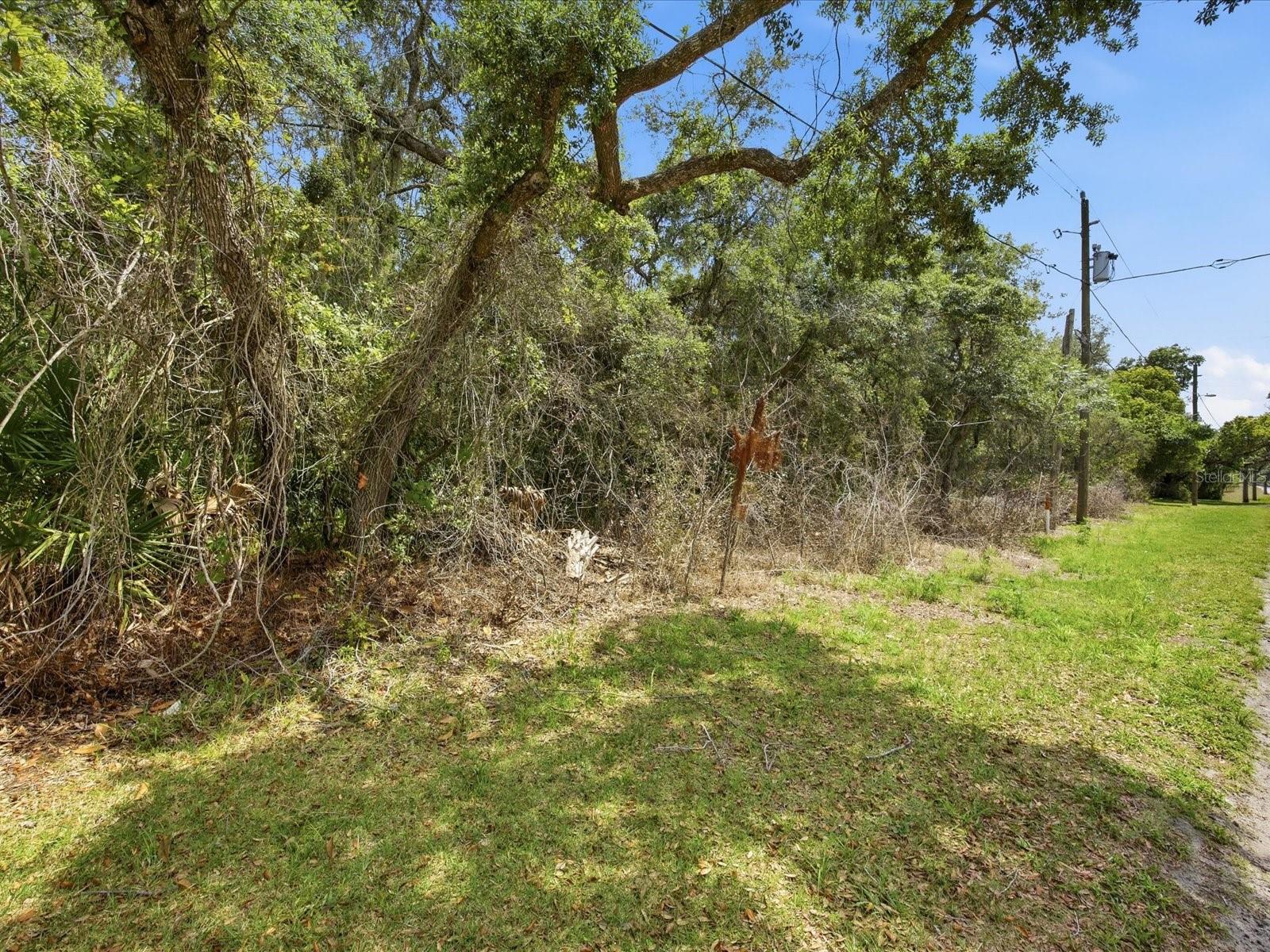 Image 6 of 6 For W Lake Drive