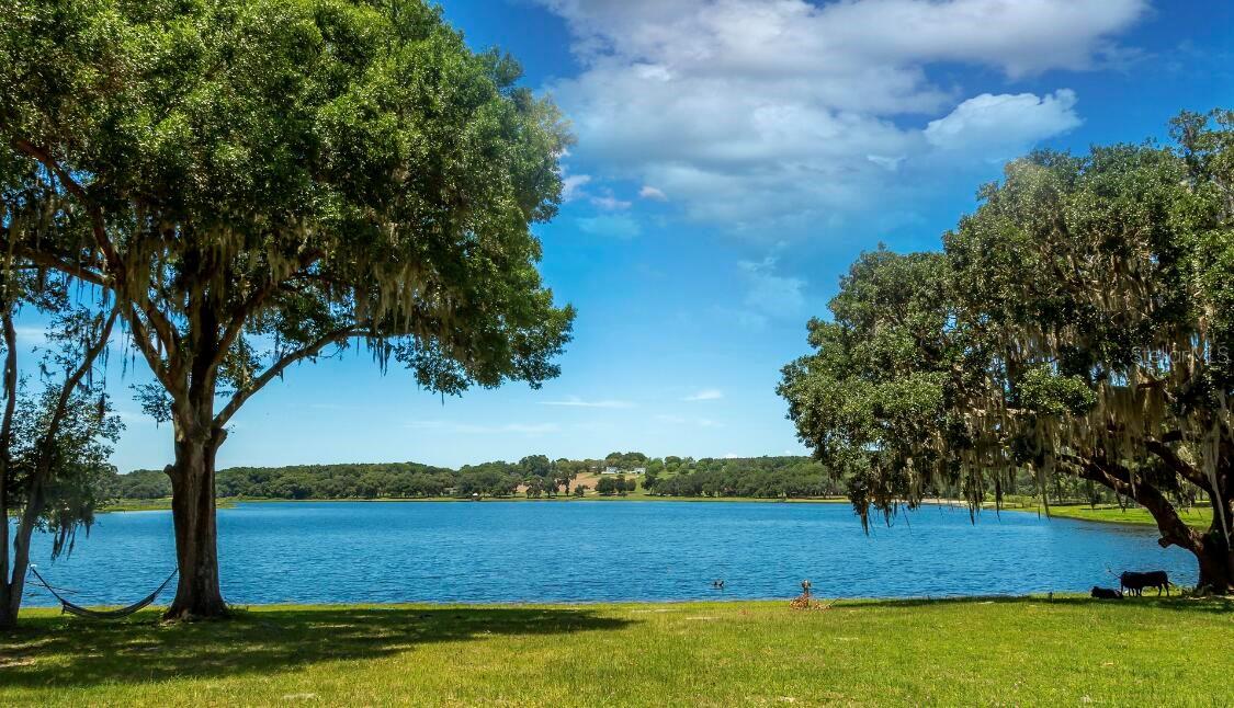 Listing Details for 34710 Clayton Road, DADE CITY, FL 33523
