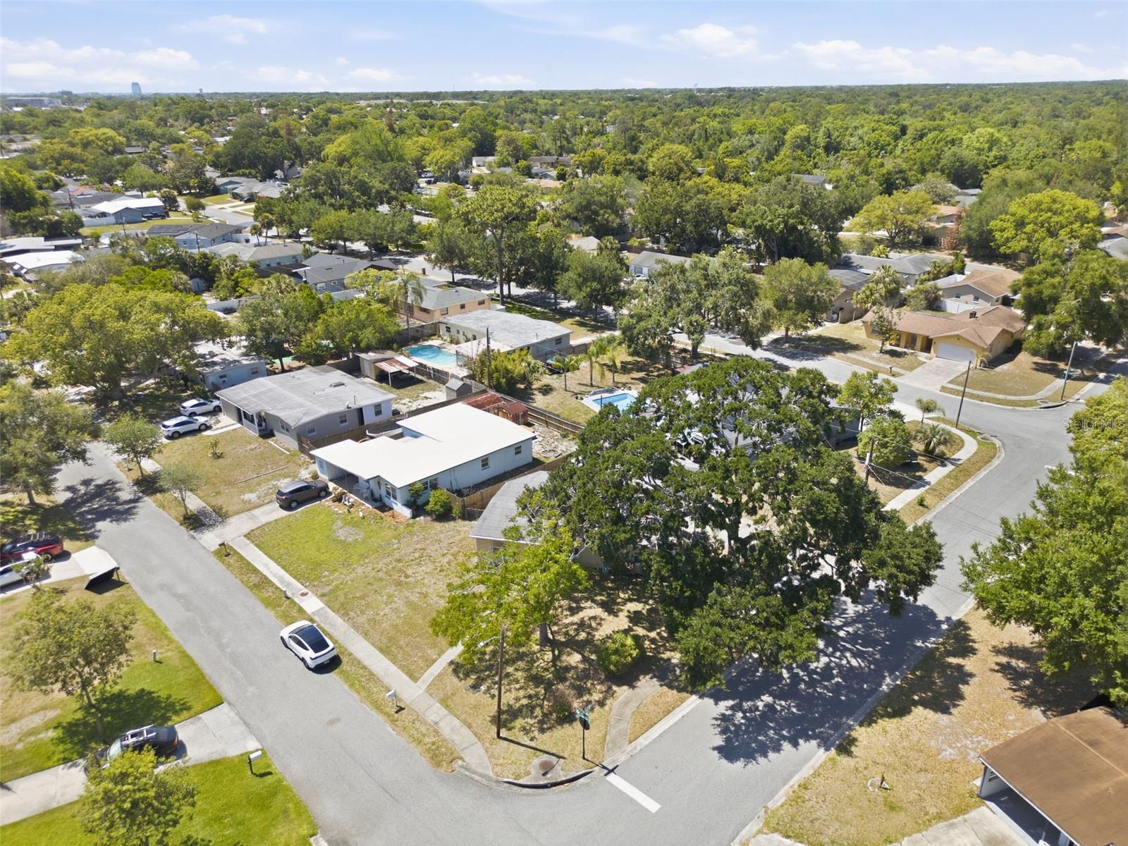 Image 36 of 39 For 481 Kentia Road