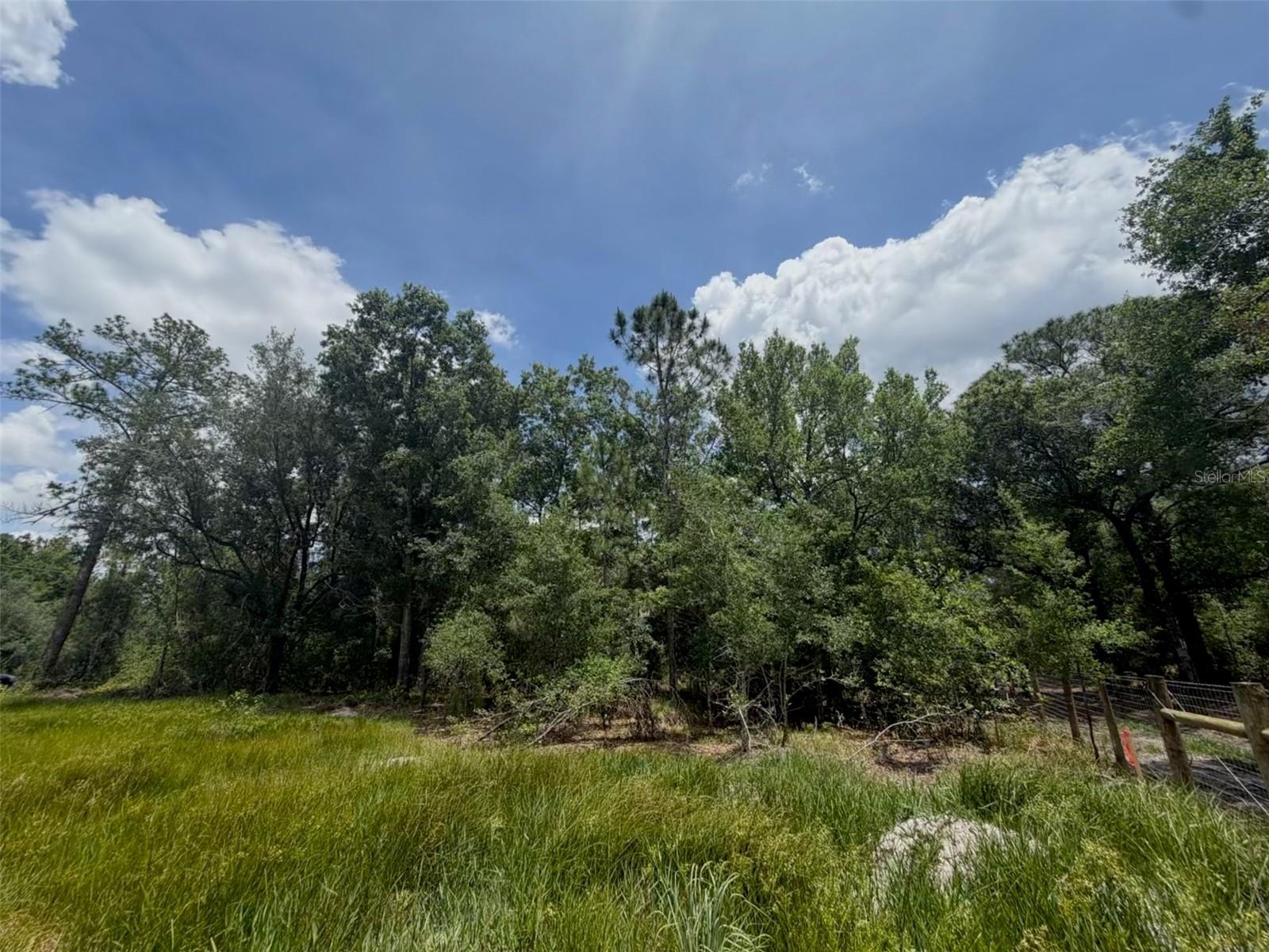 Image 10 of 11 For 5211 Lake Haven Boulevard