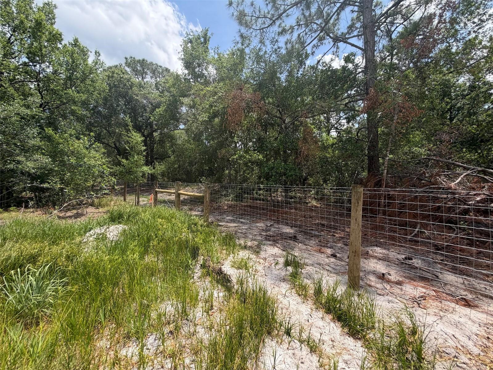 Image 11 of 11 For 5211 Lake Haven Boulevard