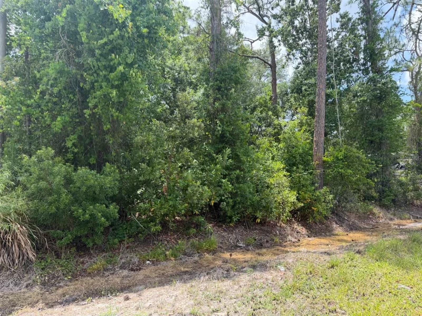 Image 7 of 11 For 5211 Lake Haven Boulevard