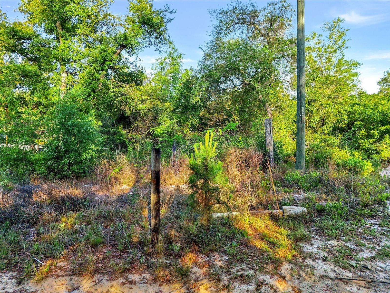 Image 3 of 12 For Jewell Drive