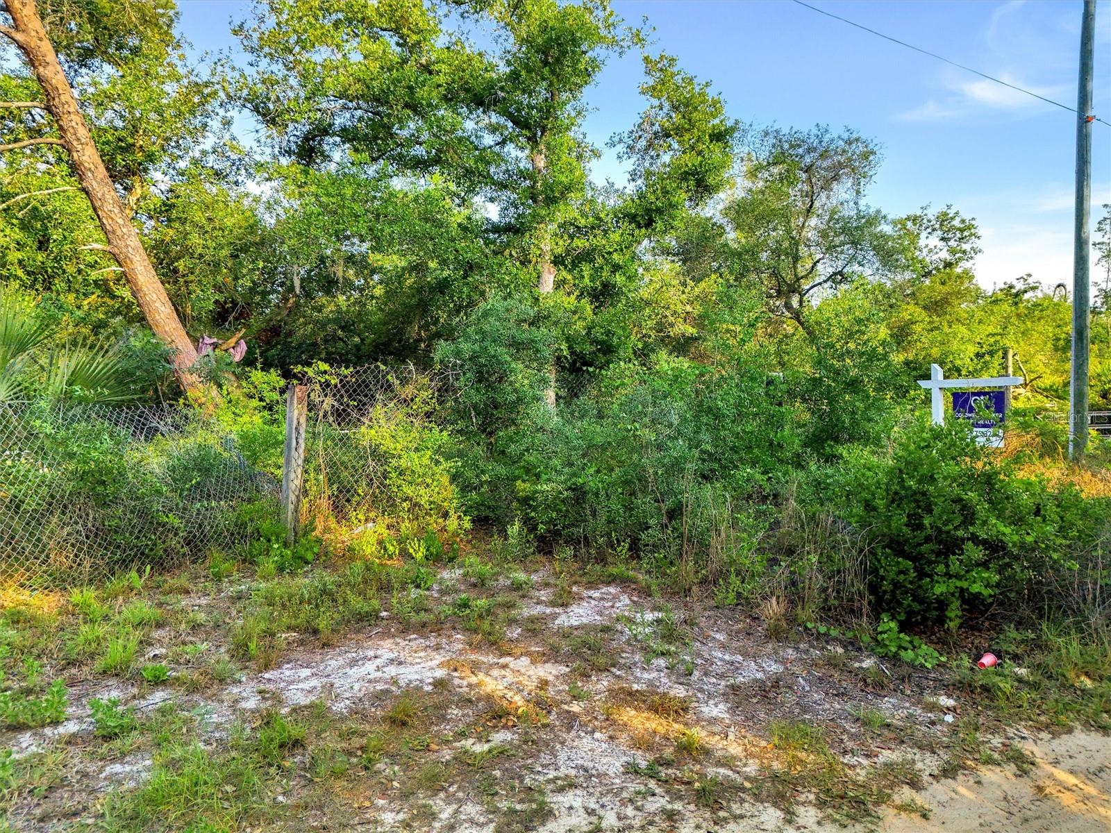 Image 4 of 12 For Jewell Drive