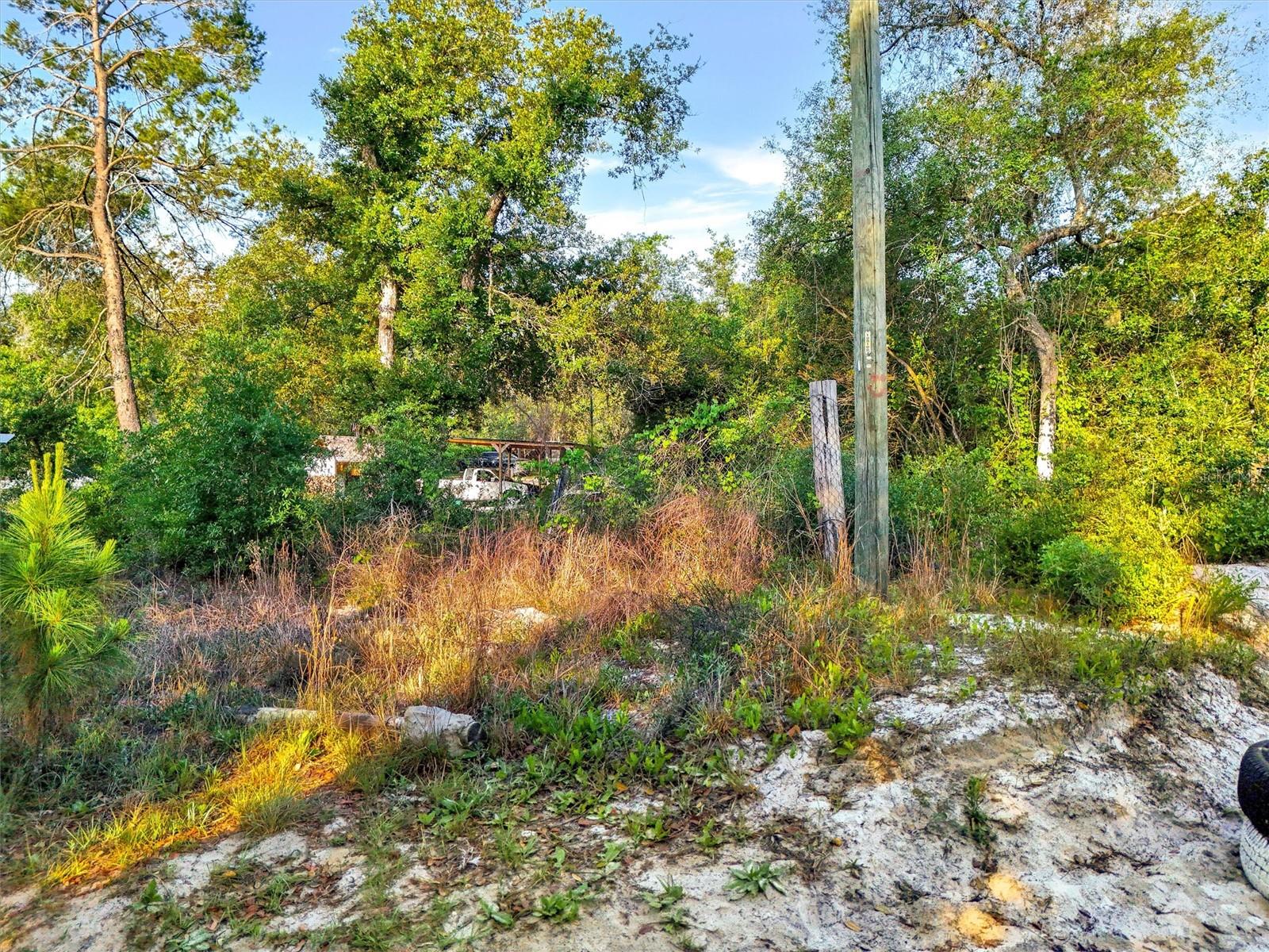Image 5 of 12 For Jewell Drive