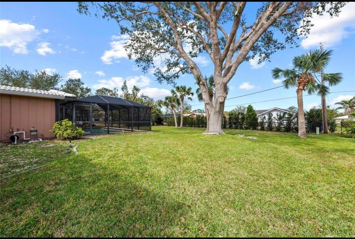 Image 34 of 36 For 107 Corot Drive