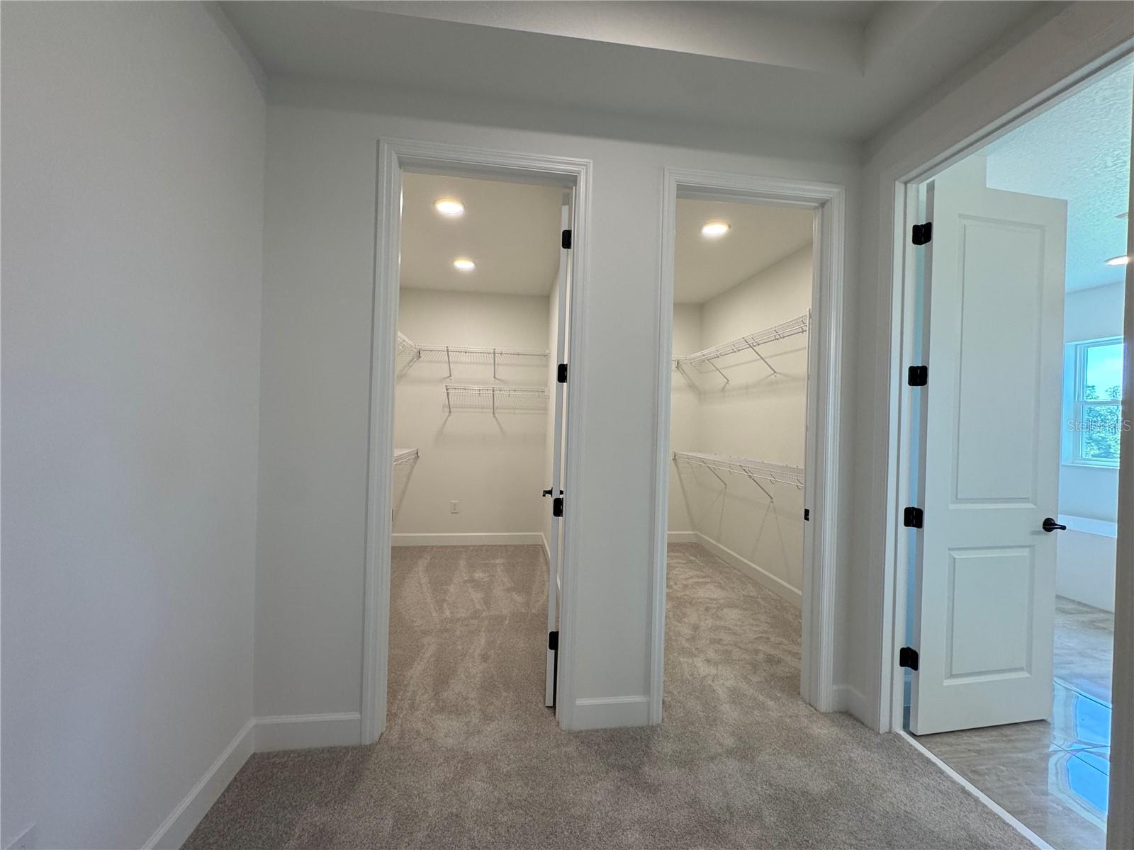 Image 53 of 81 For 17342 Glossy Pomelo Way