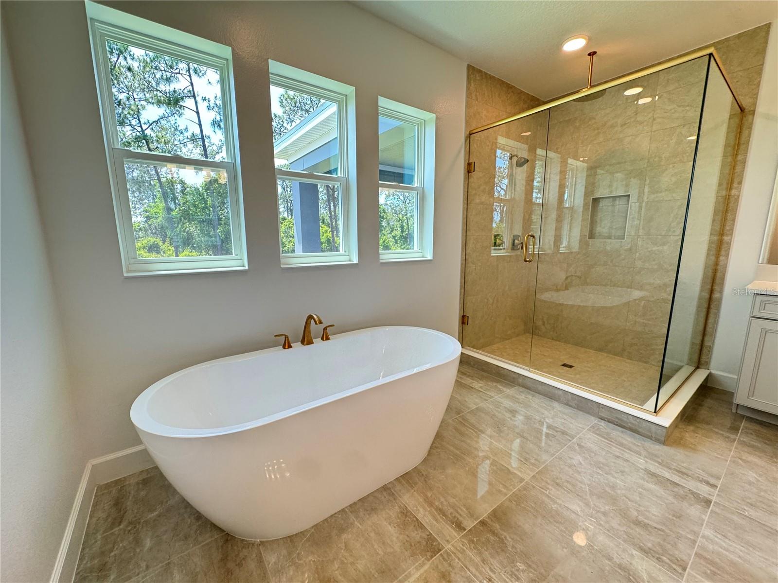 Image 60 of 81 For 17342 Glossy Pomelo Way
