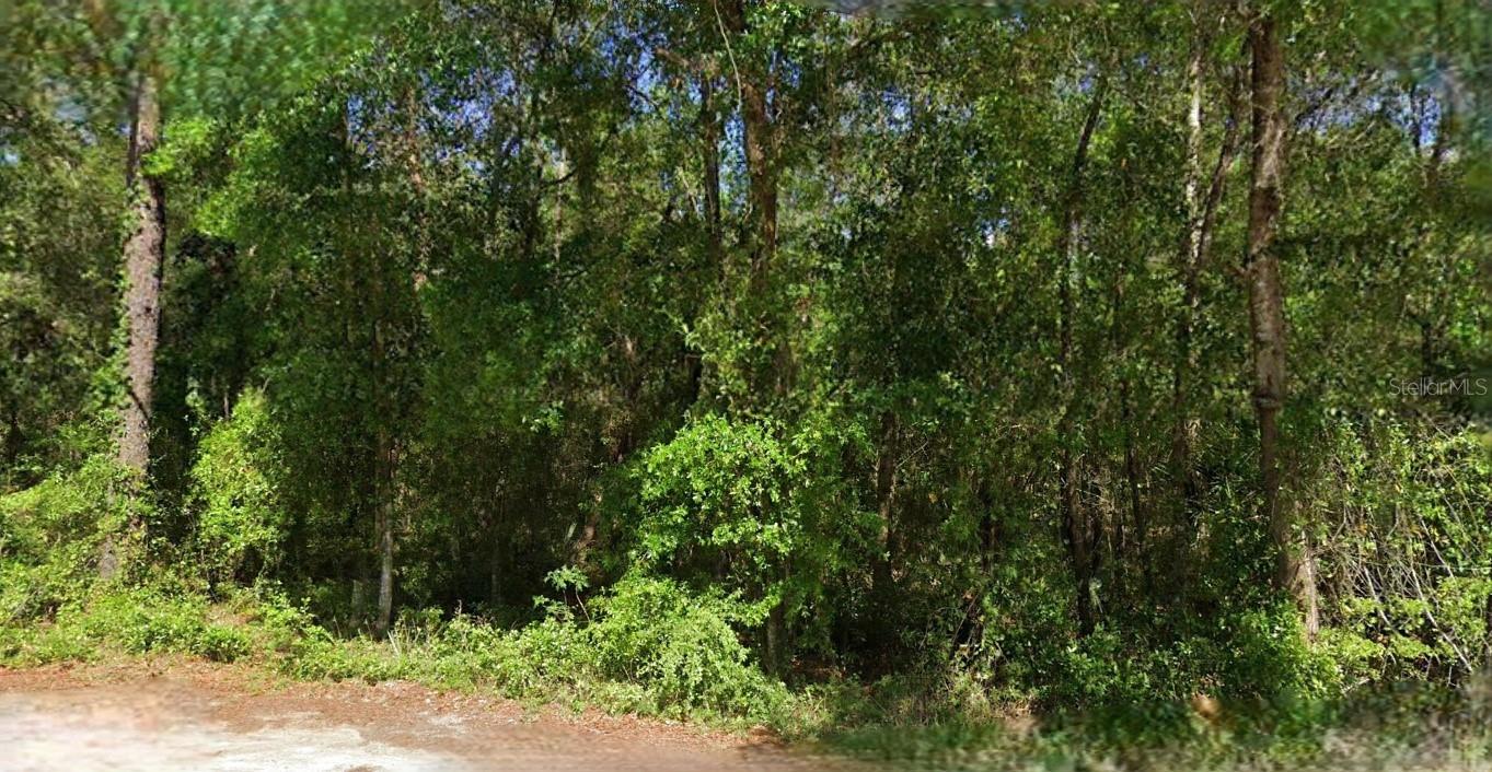 Details for 6th Lane Road, SILVER SPRINGS, FL 34488