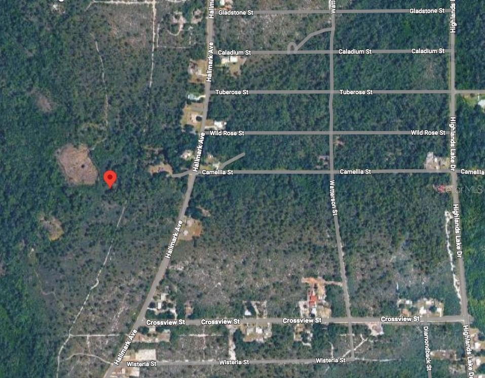 Image 2 of 4 For 734 Dolphin Avenue