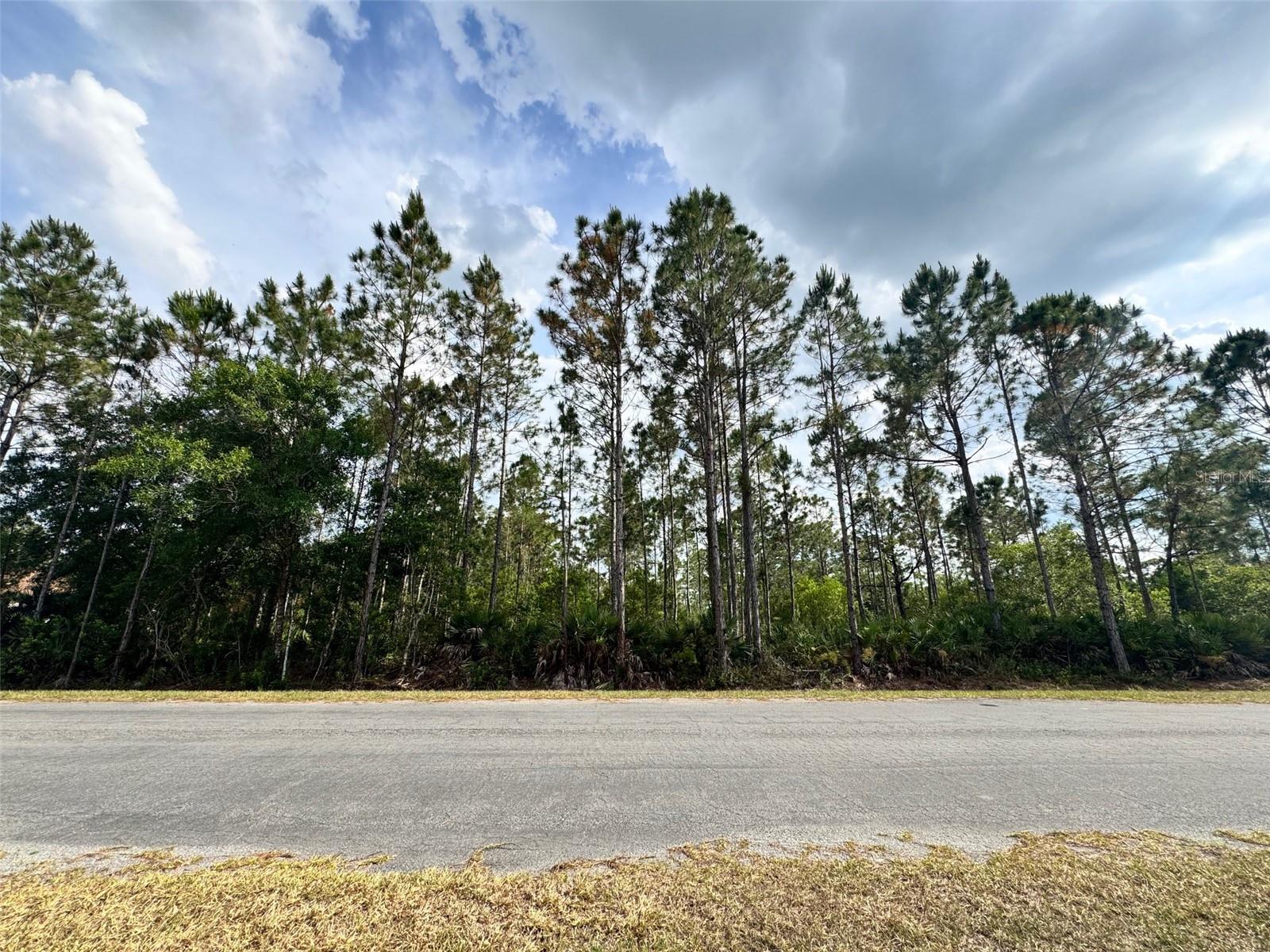 Details for 00 Sodbury Street, ORLANDO, FL 32833