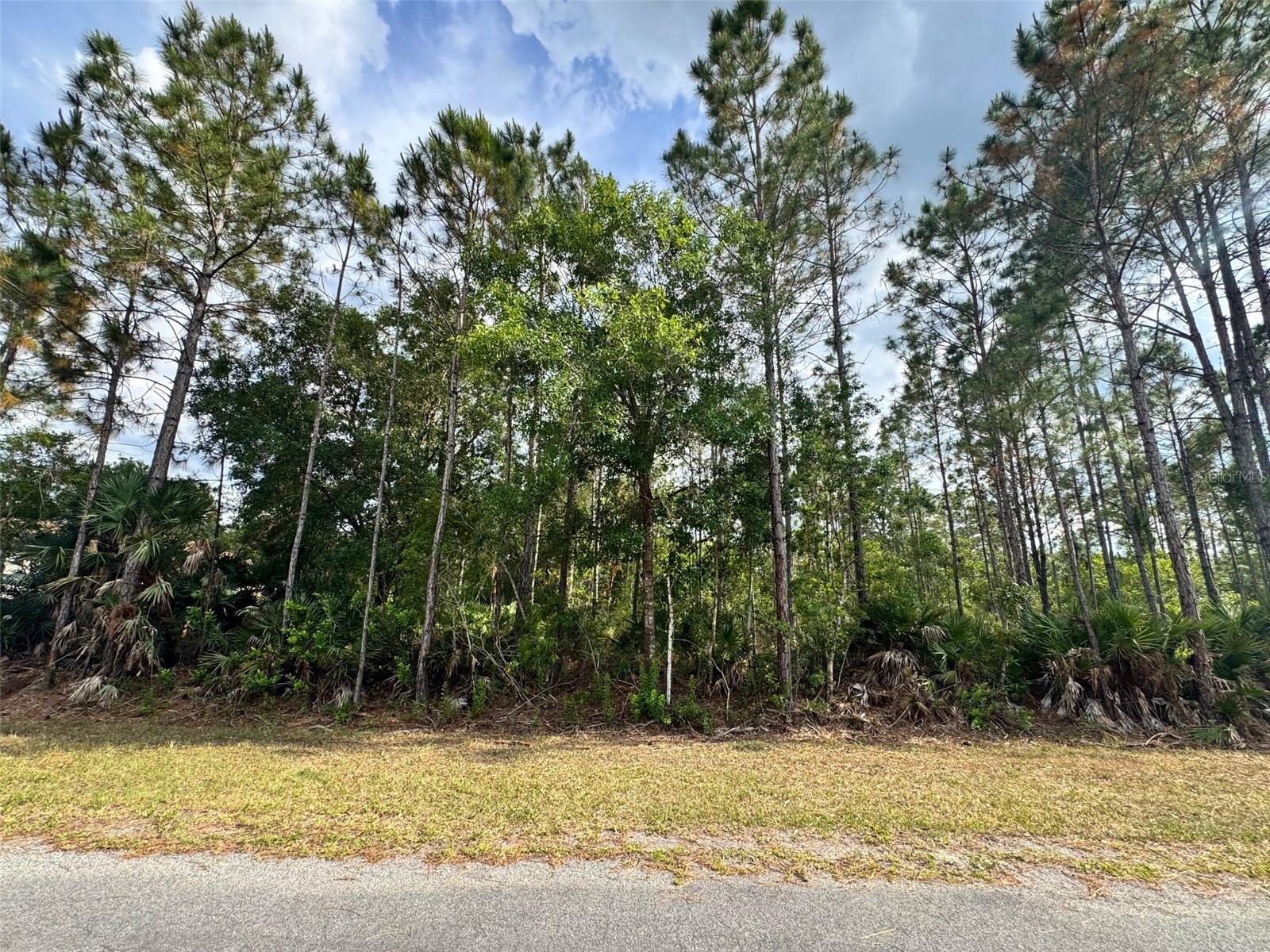 Image 20 of 20 For 00 Sodbury Street