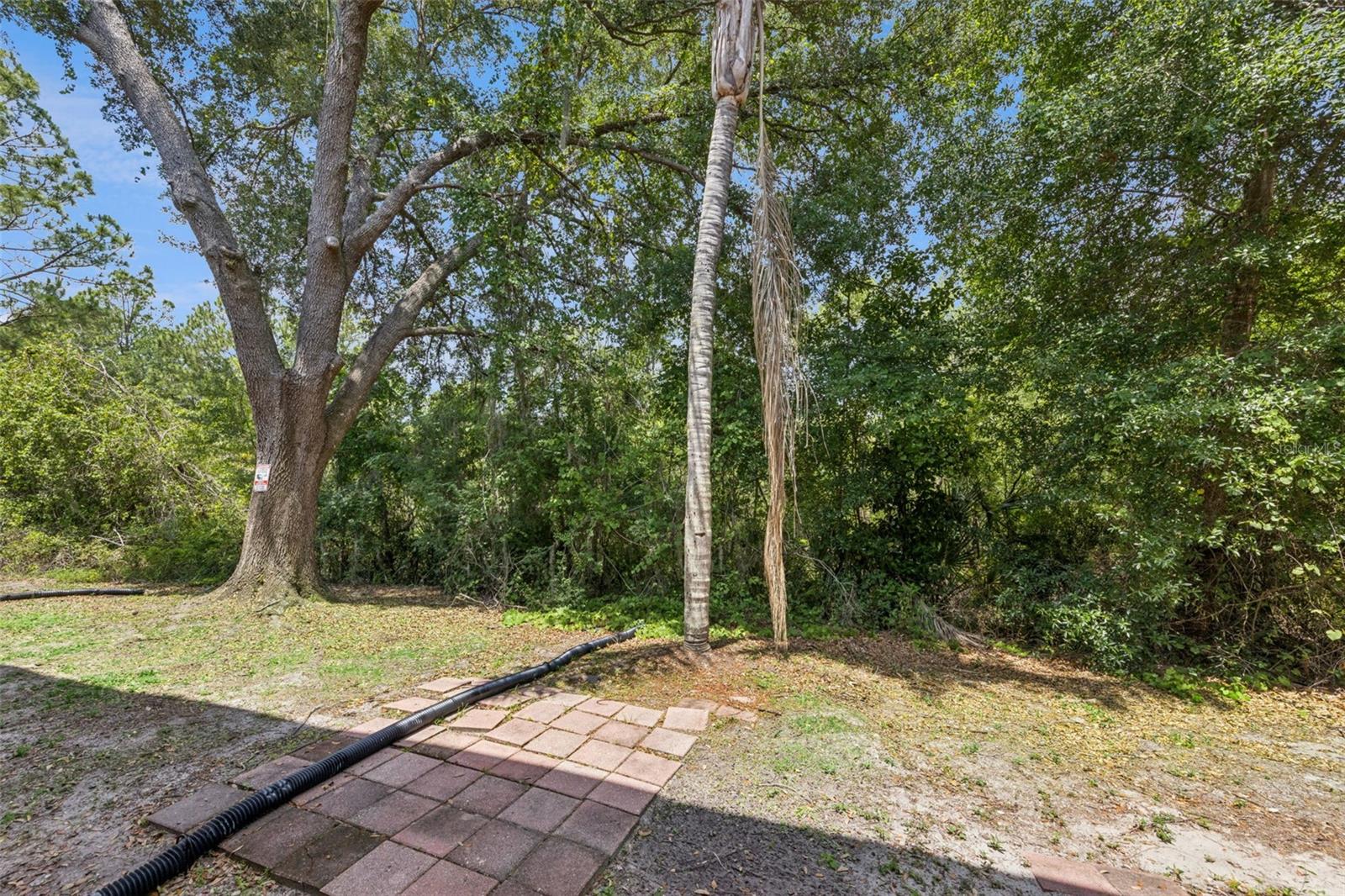 Image 20 of 23 For 8838 Coral Palms Court A