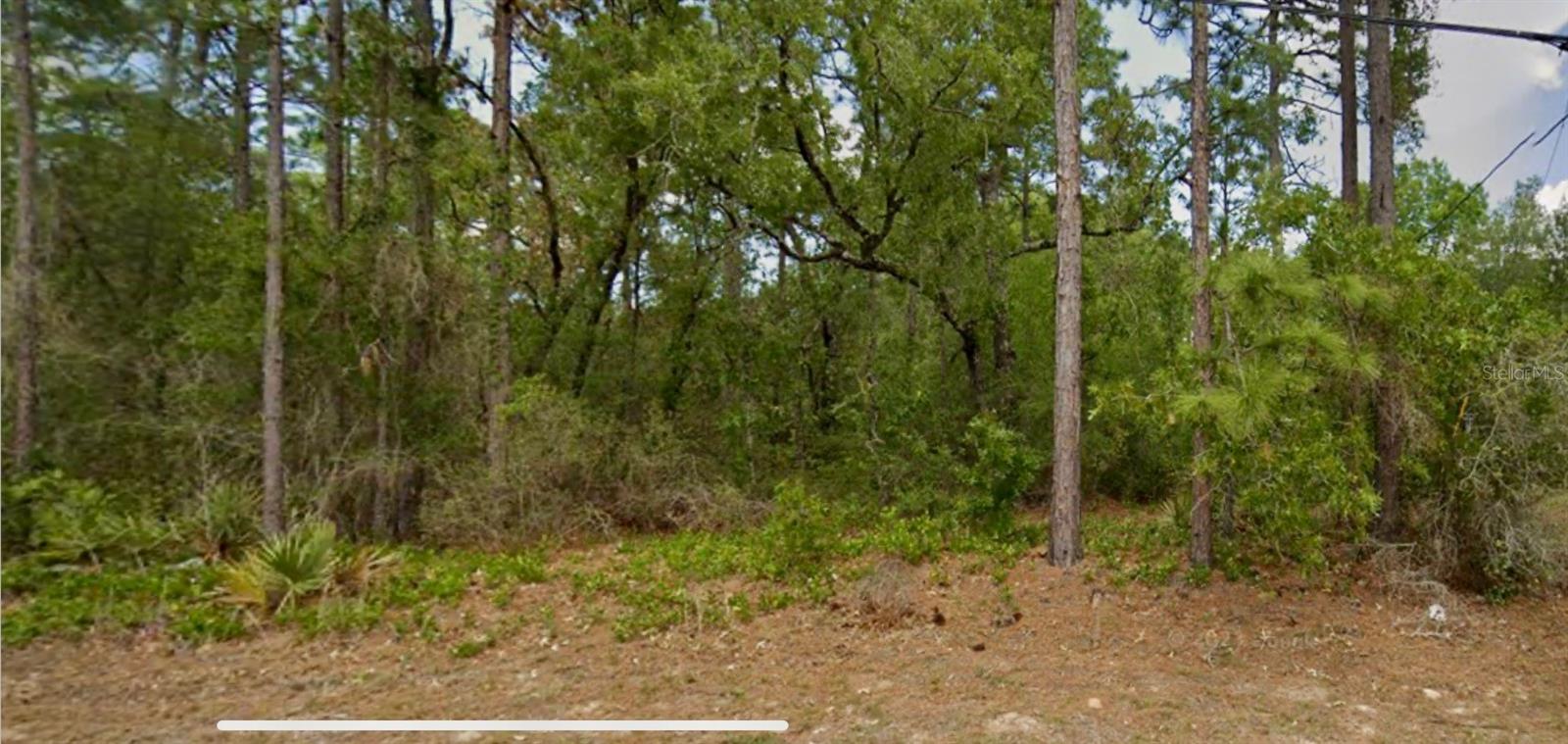 Details for 8550 Citrus Springs Boulevard, CITRUS SPRINGS, FL 34433