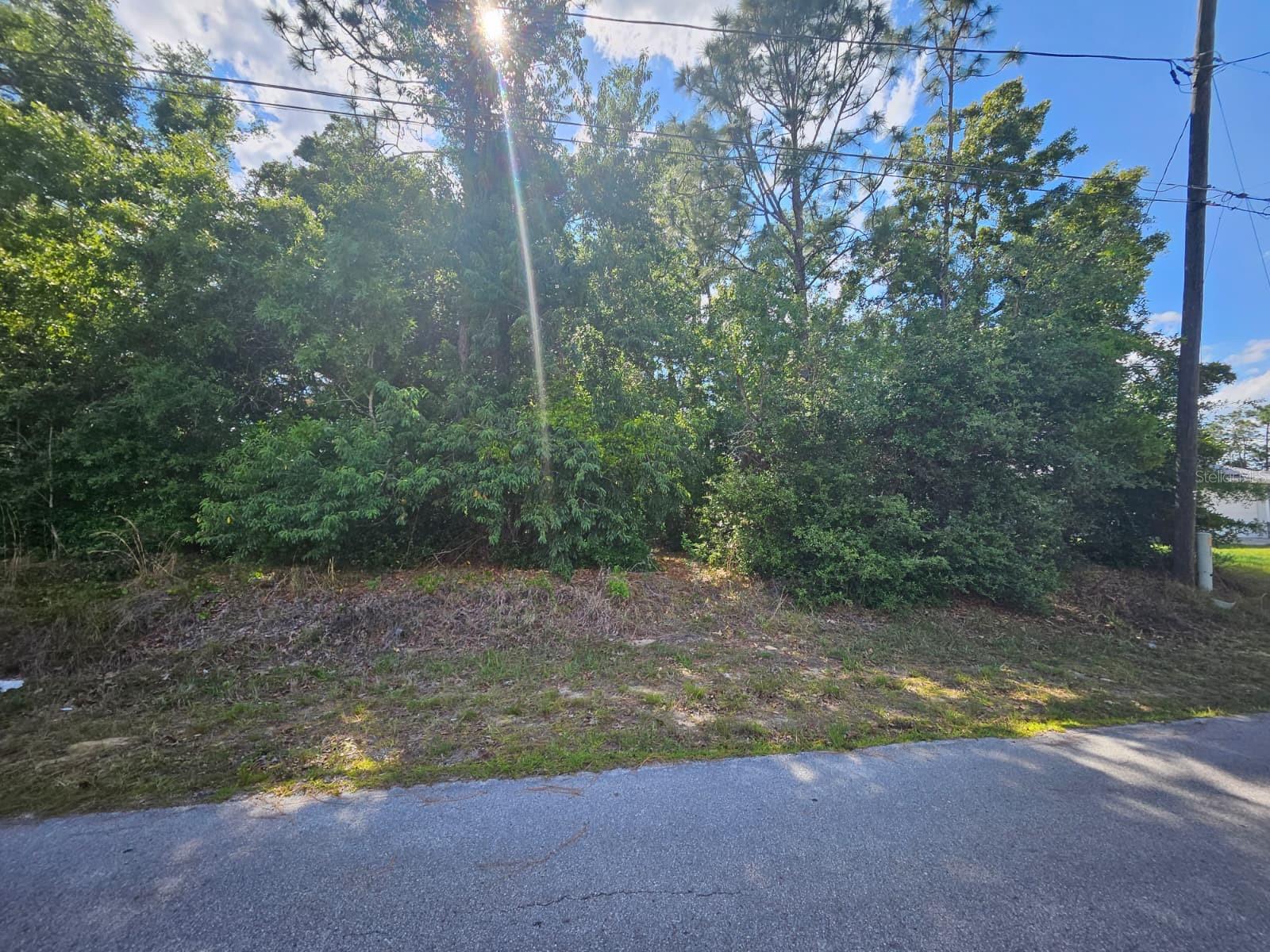 Image 4 of 5 For 89th Terrace