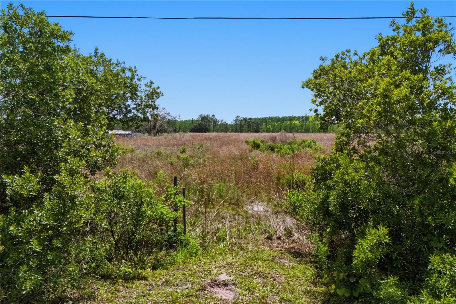 Image 7 of 8 For Irlo Bronson Memorial Highway 0