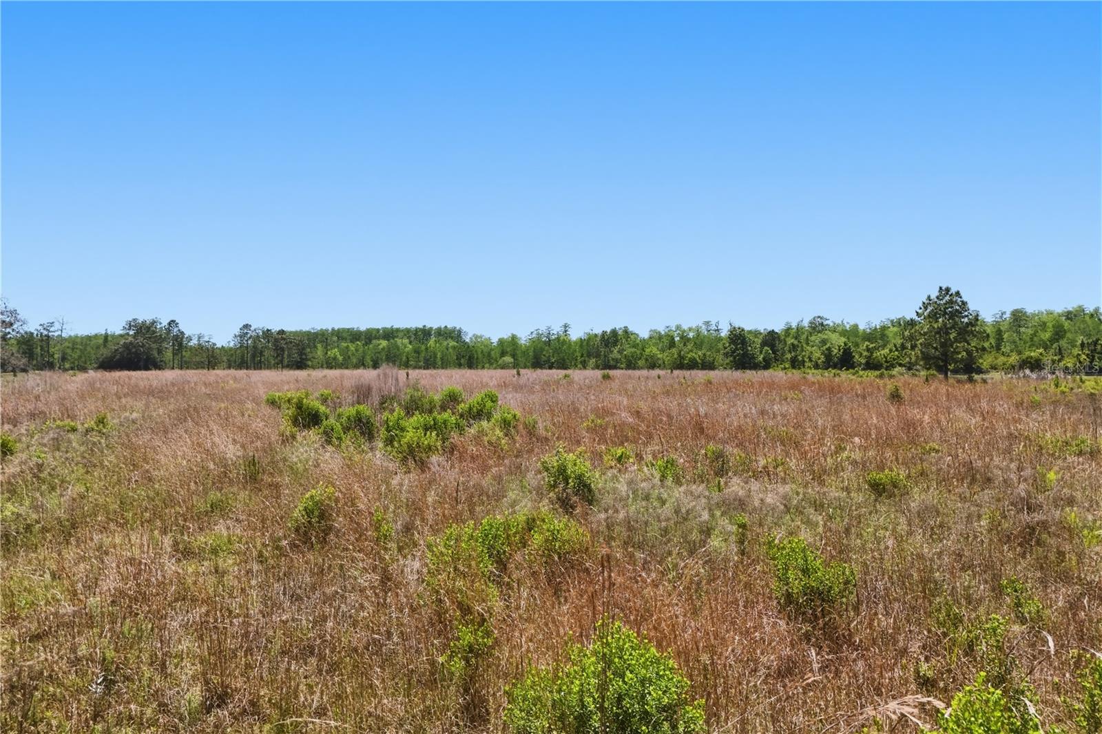 Image 8 of 8 For Irlo Bronson Memorial Highway 0