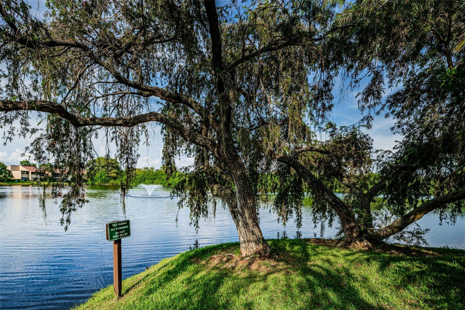 Image 49 of 63 For 781 Village Lake Terrace N 101a