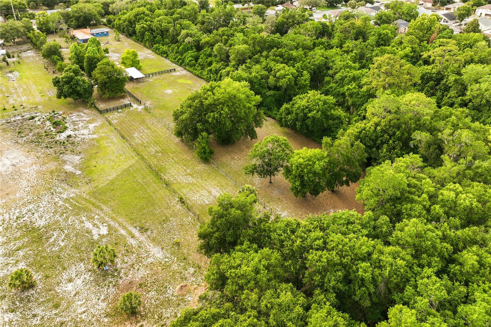 Image 33 of 54 For 3901 Apopka Vineland Road