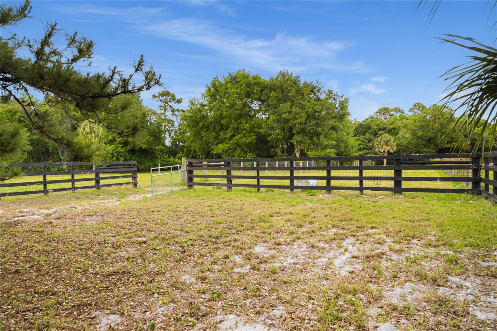 Image 41 of 54 For 3901 Apopka Vineland Road