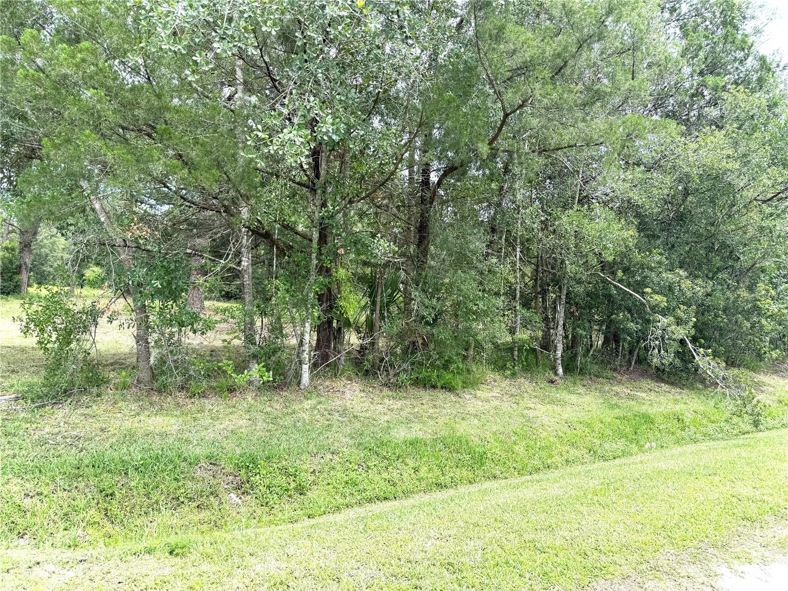 Image 6 of 8 For 2731 8th Street