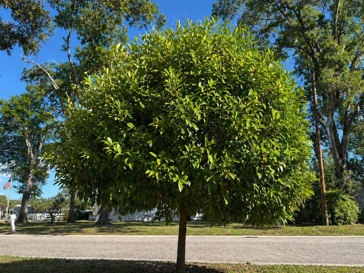 Image 45 of 55 For 8618 Grandview Drive