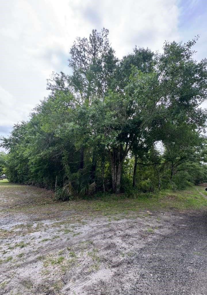 Listing Details for 1249 Sable Palm Drive, CHRISTMAS, FL 32709