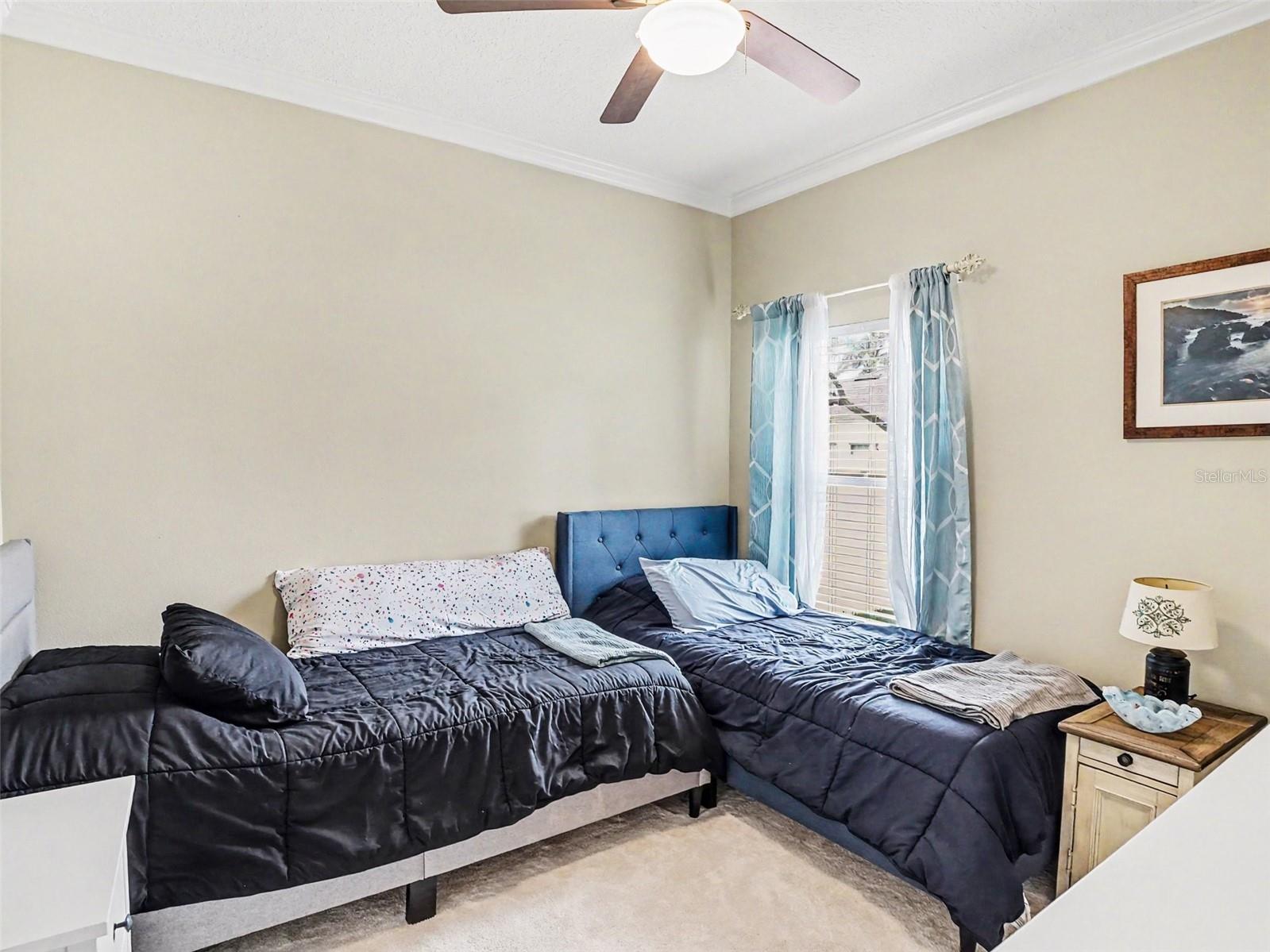Image 10 of 13 For 217 Friesian Way