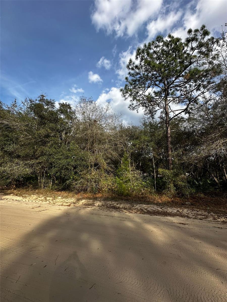 Details for 13-10-24-4079-0060-0040, INTERLACHEN, FL 32148