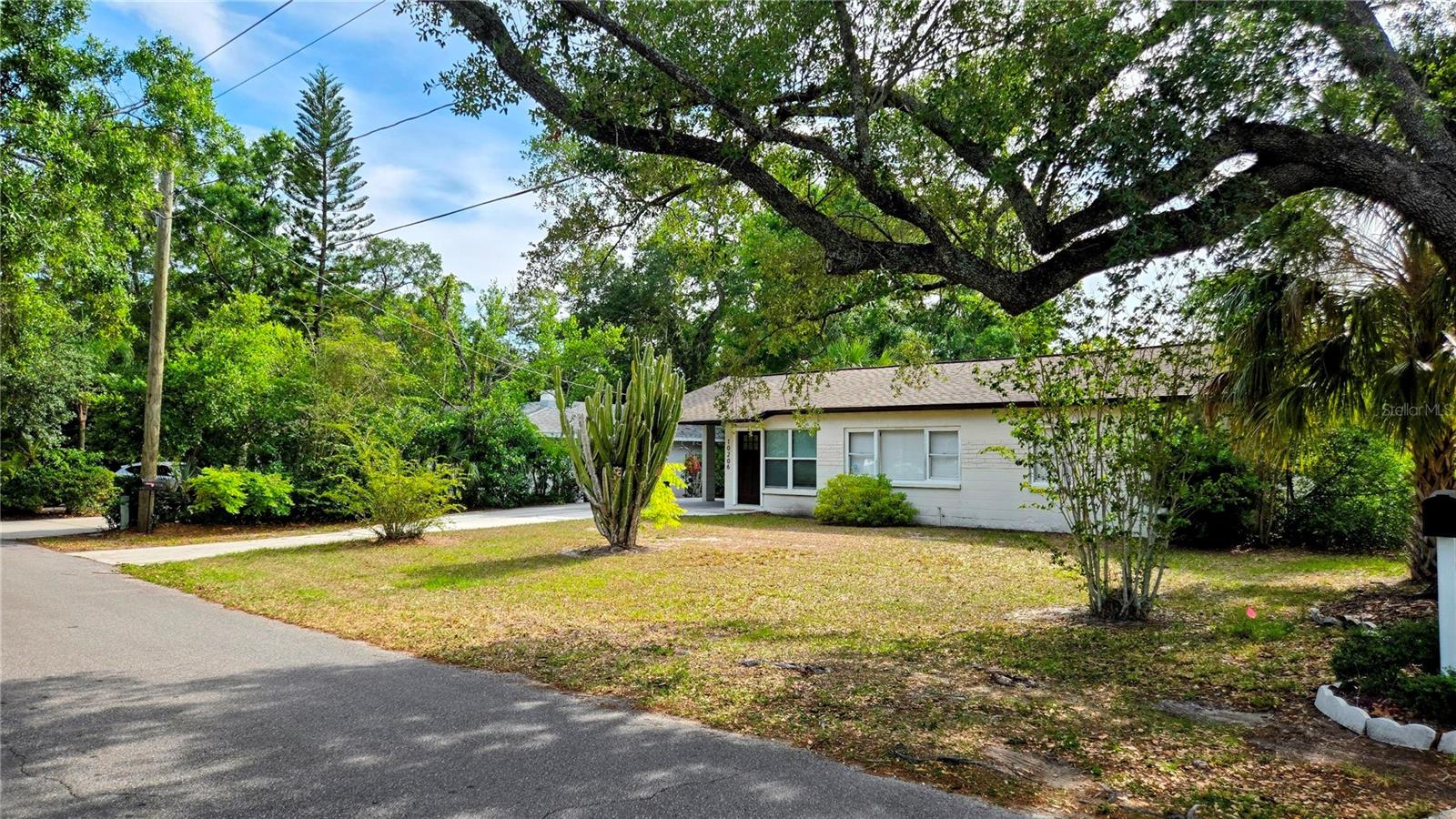 Details for 10206 Oakleaf Avenue, TAMPA, FL 33612