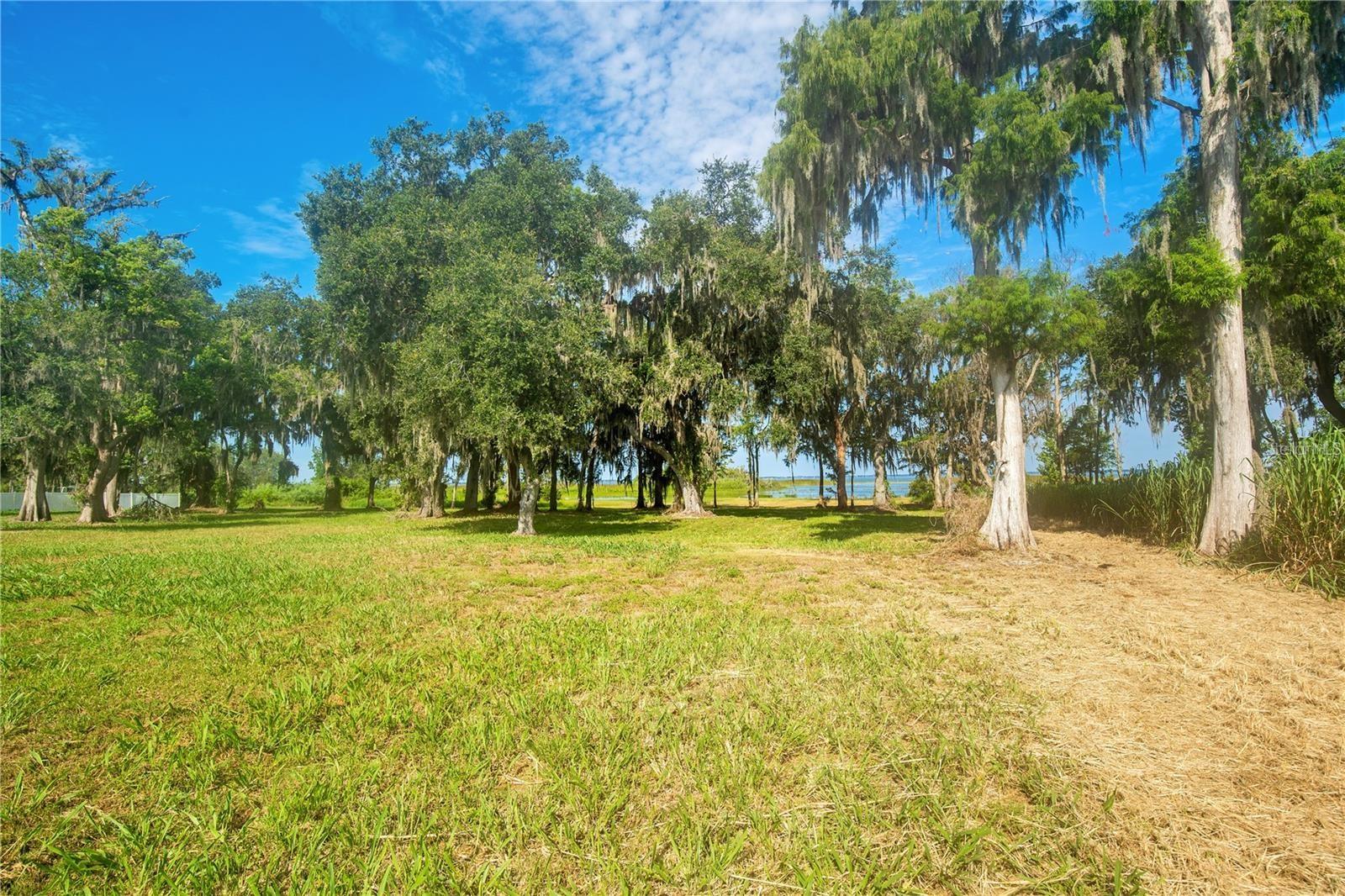Image 31 of 65 For 4810 Calasans Avenue