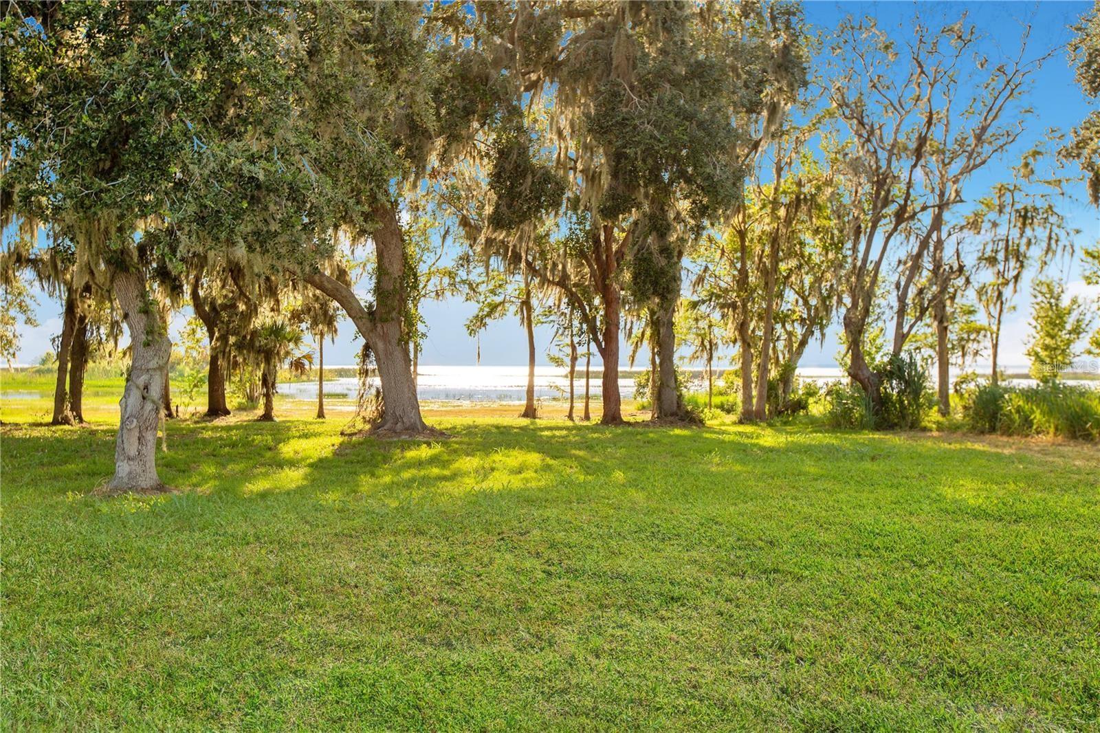 Image 43 of 65 For 4810 Calasans Avenue