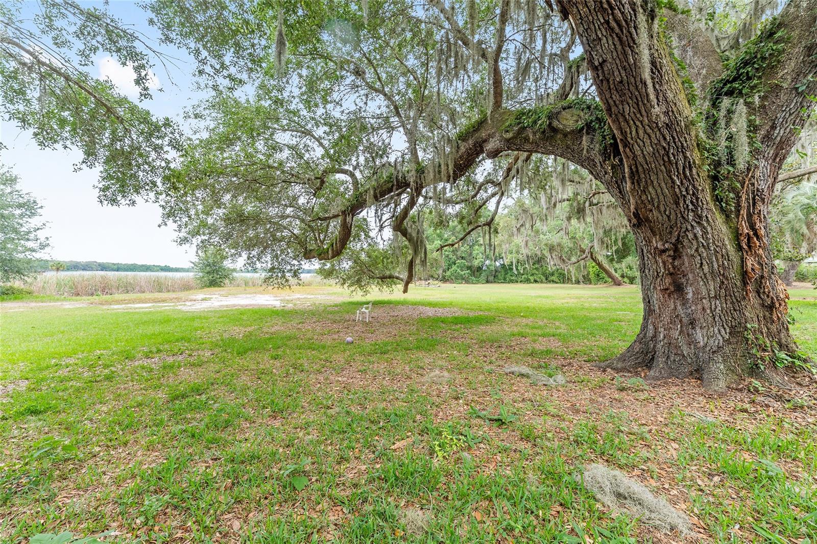 Image 42 of 42 For 13395 106th Avenue