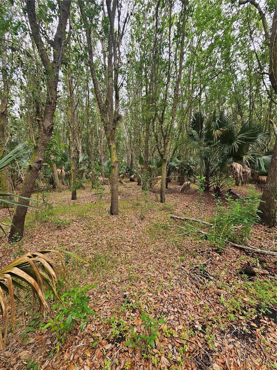 Details for 601 Howard Avenue, OVIEDO, FL 32765