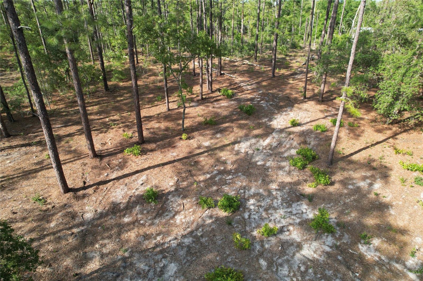 Details for  148th Court , MORRISTON, FL 32668