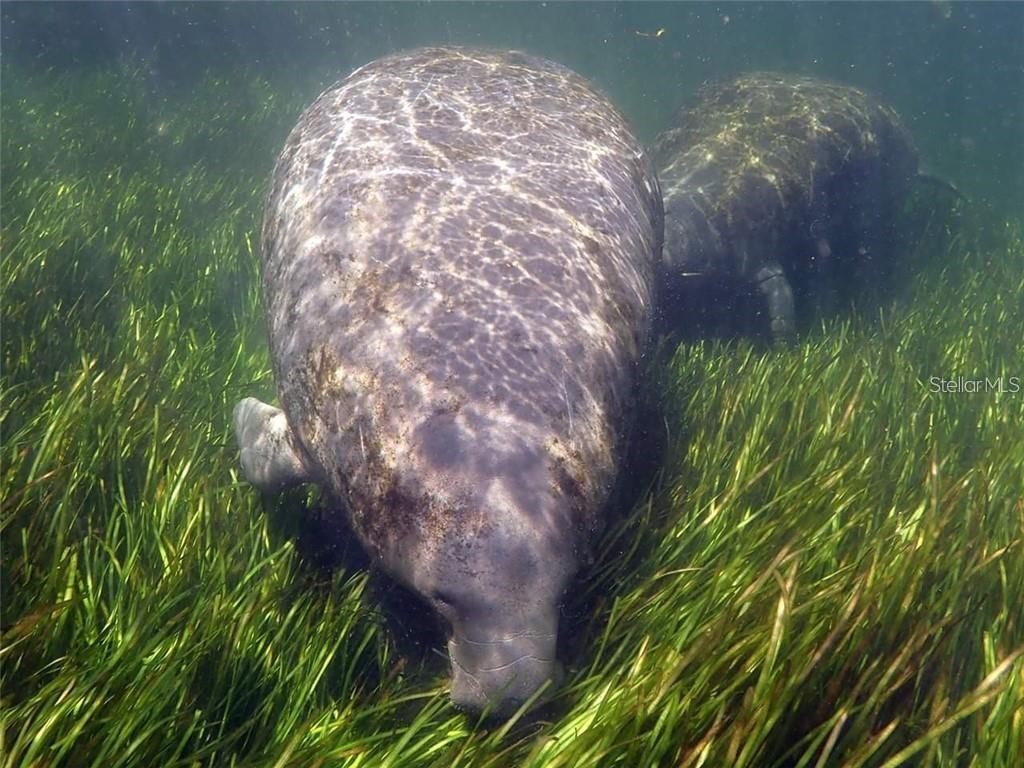 Image 10 of 29 For 0 Sheepshead Drive